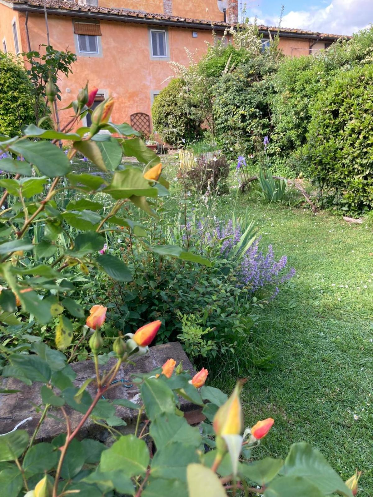 Photo 21