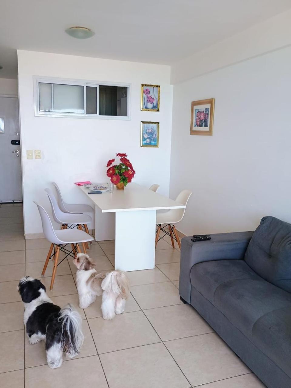 Apartamento fortaleza
