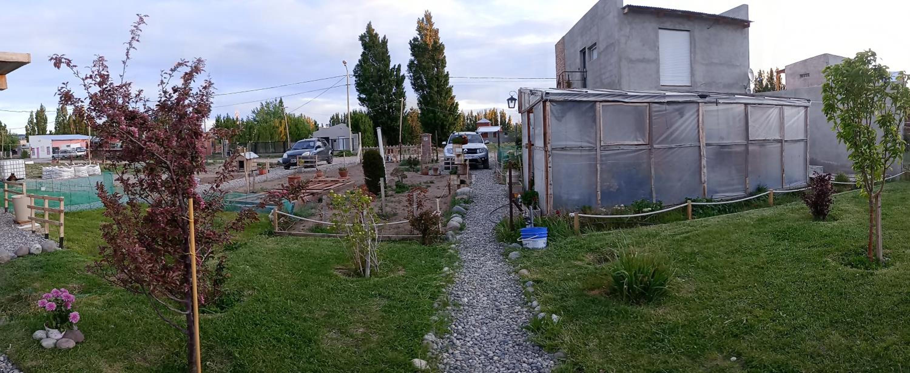 La Cascaruda C