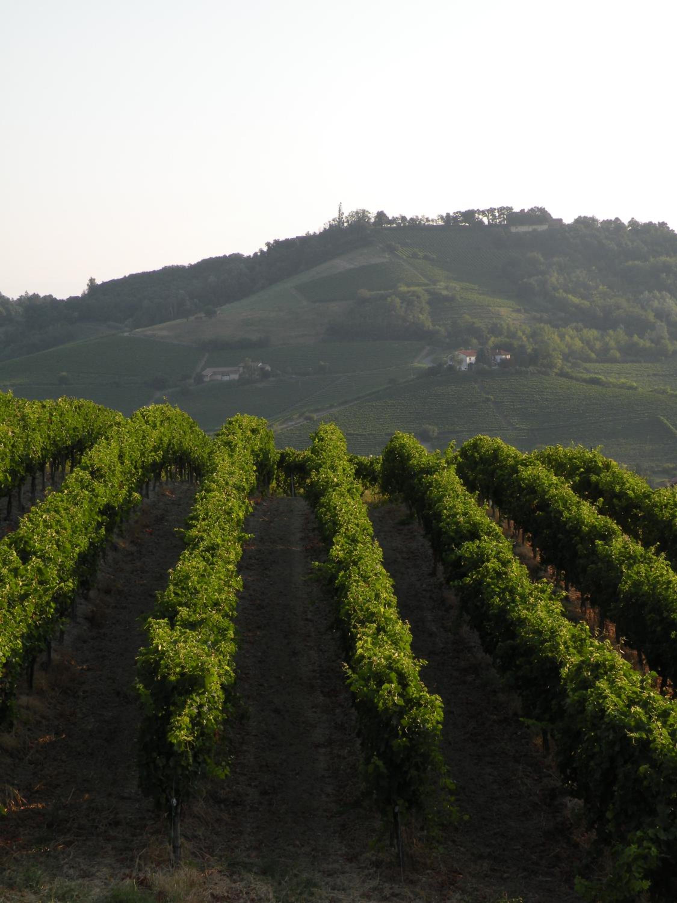 Agriturismo Bastian