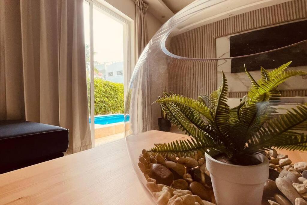 Sea Dream luxury