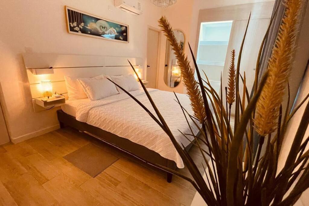 Sea Dream luxury
