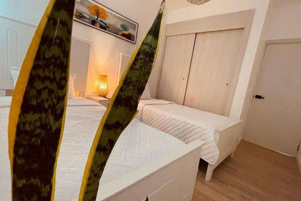 Sea Dream luxury