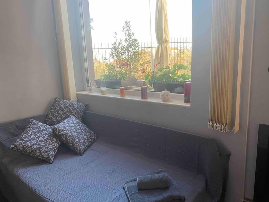 Luxury Seaside Villa with Jacuzzi & Garden - Varna