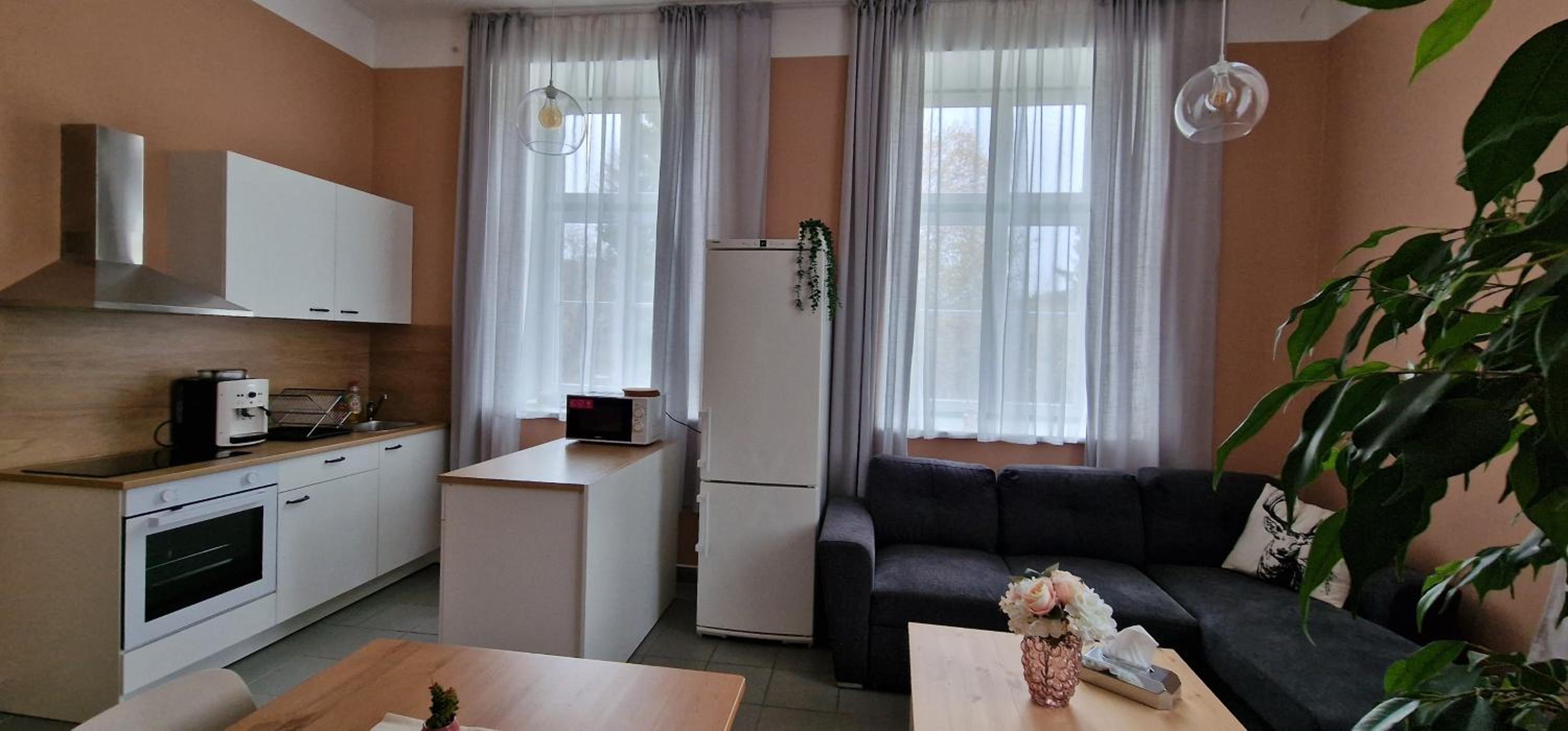 Apartmány U sovy