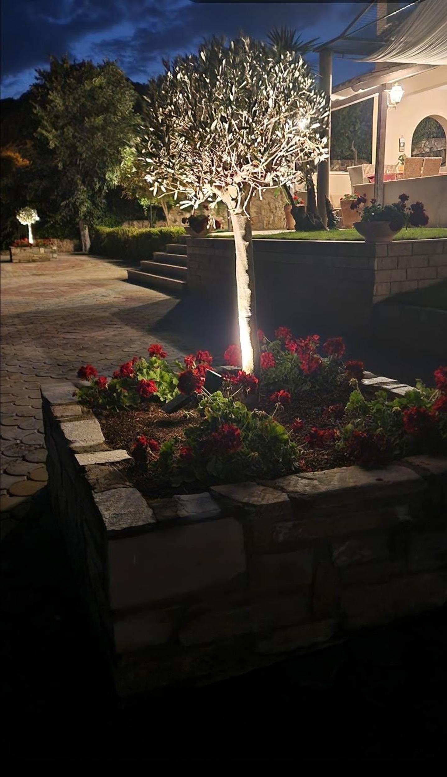 Palio Suites