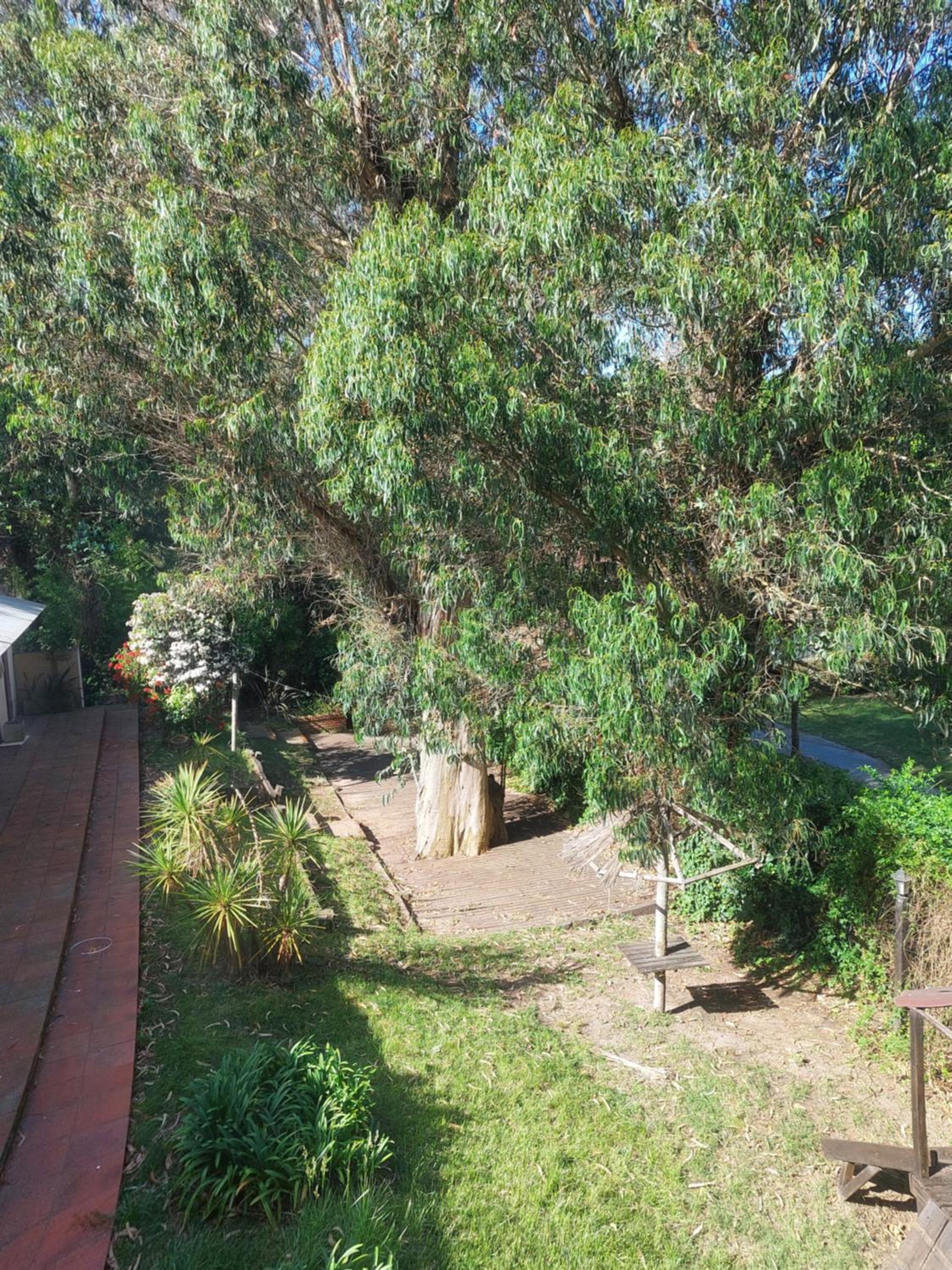 Monserrat Bungalows Con pileta y parrilla