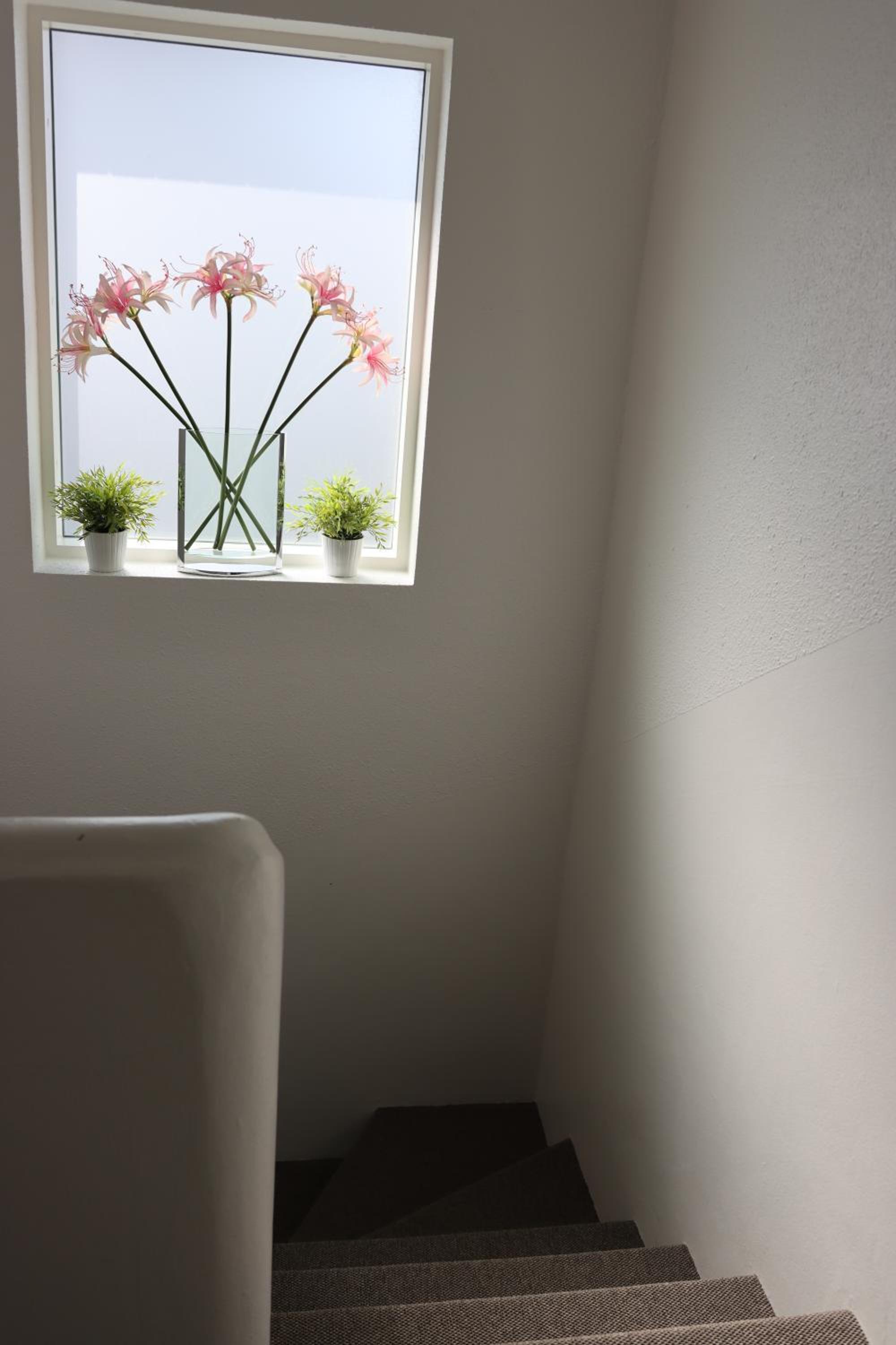 Guesthouse Dyngja