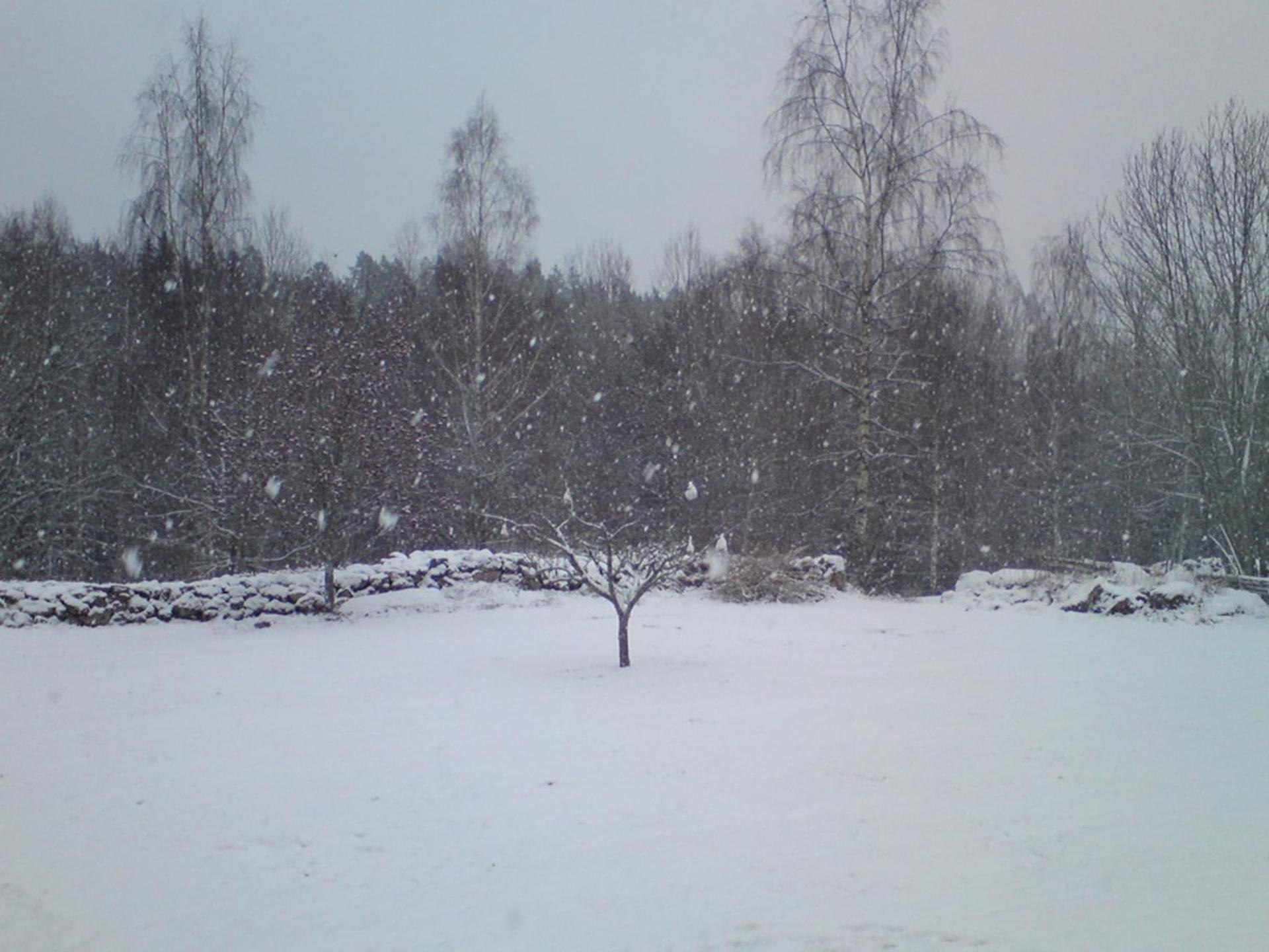 LillStugan på Örsgänge Delsbo