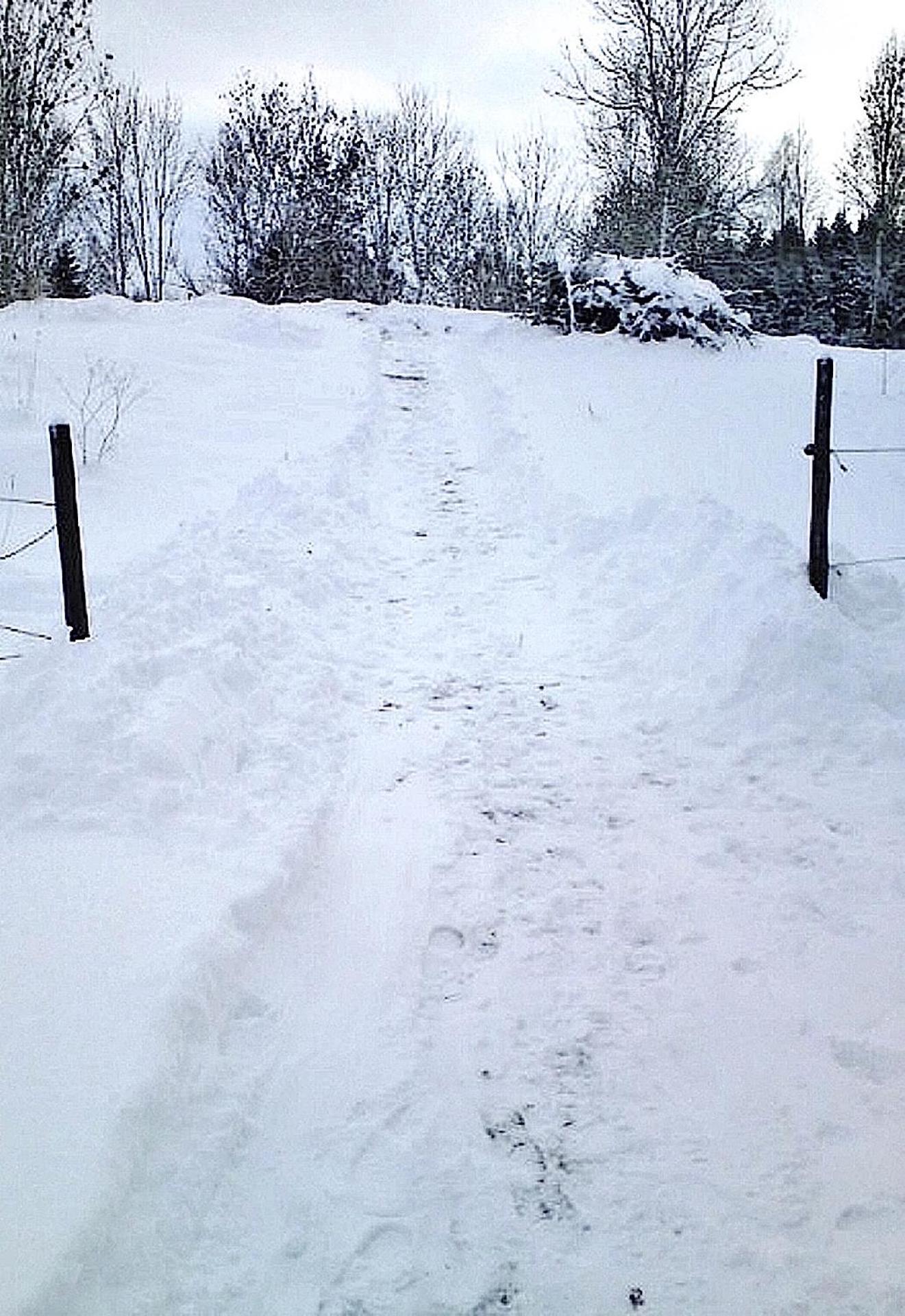 LillStugan på Örsgänge Delsbo