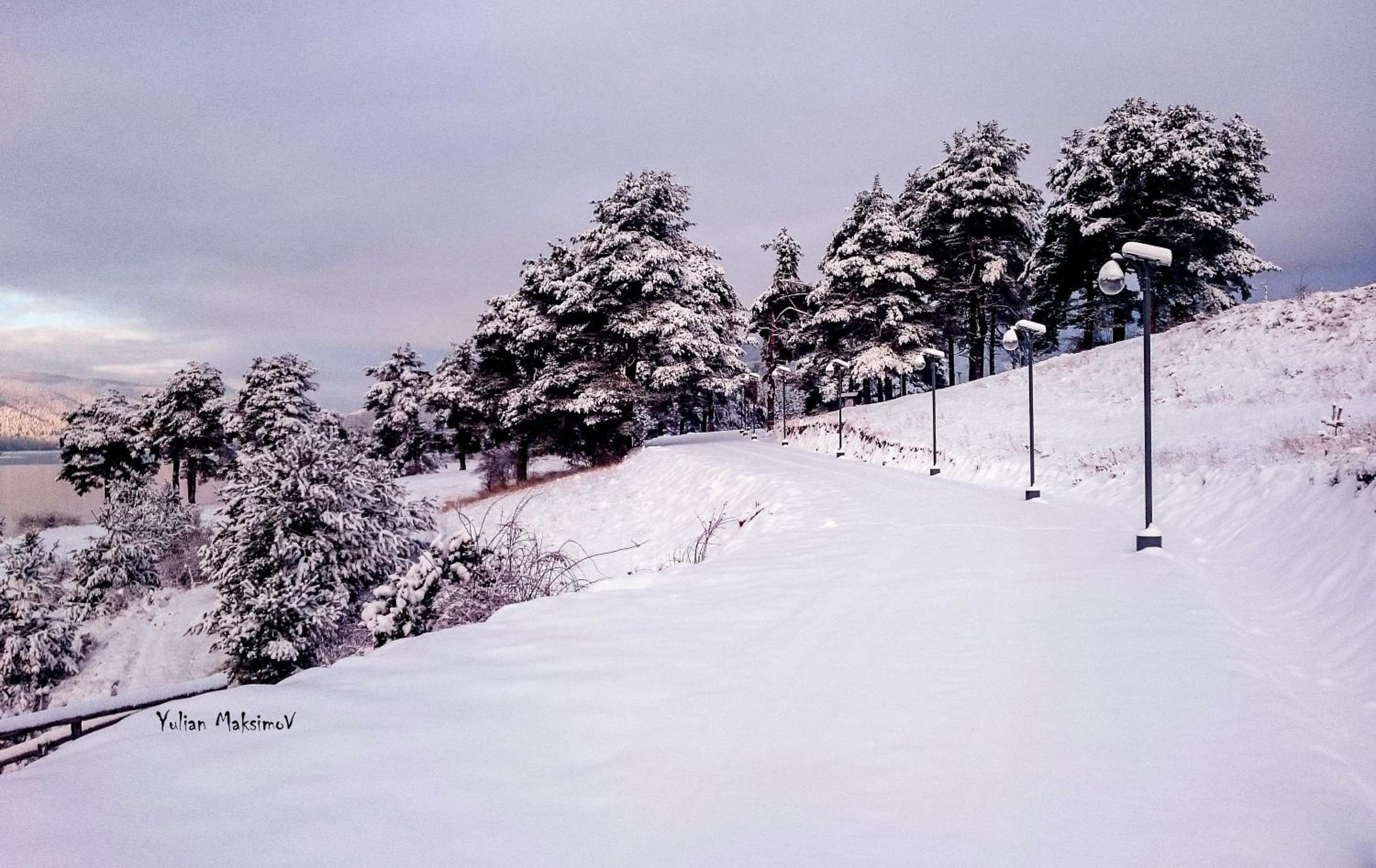 Divna Forest & Lake House