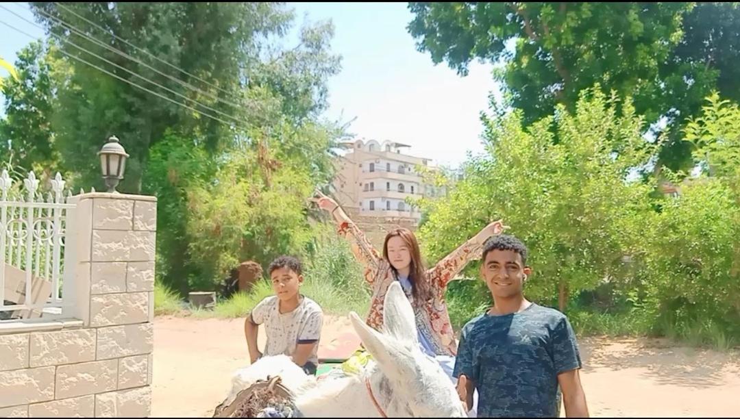Dream Garden Luxor