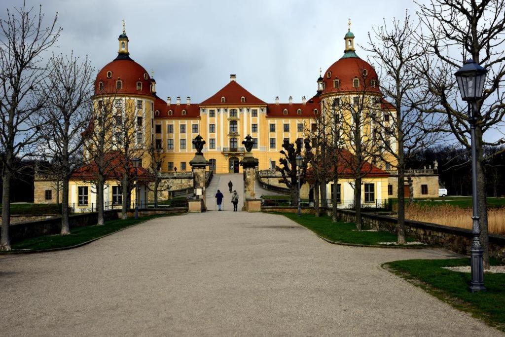 Ferienwohnung Dresden Elbe