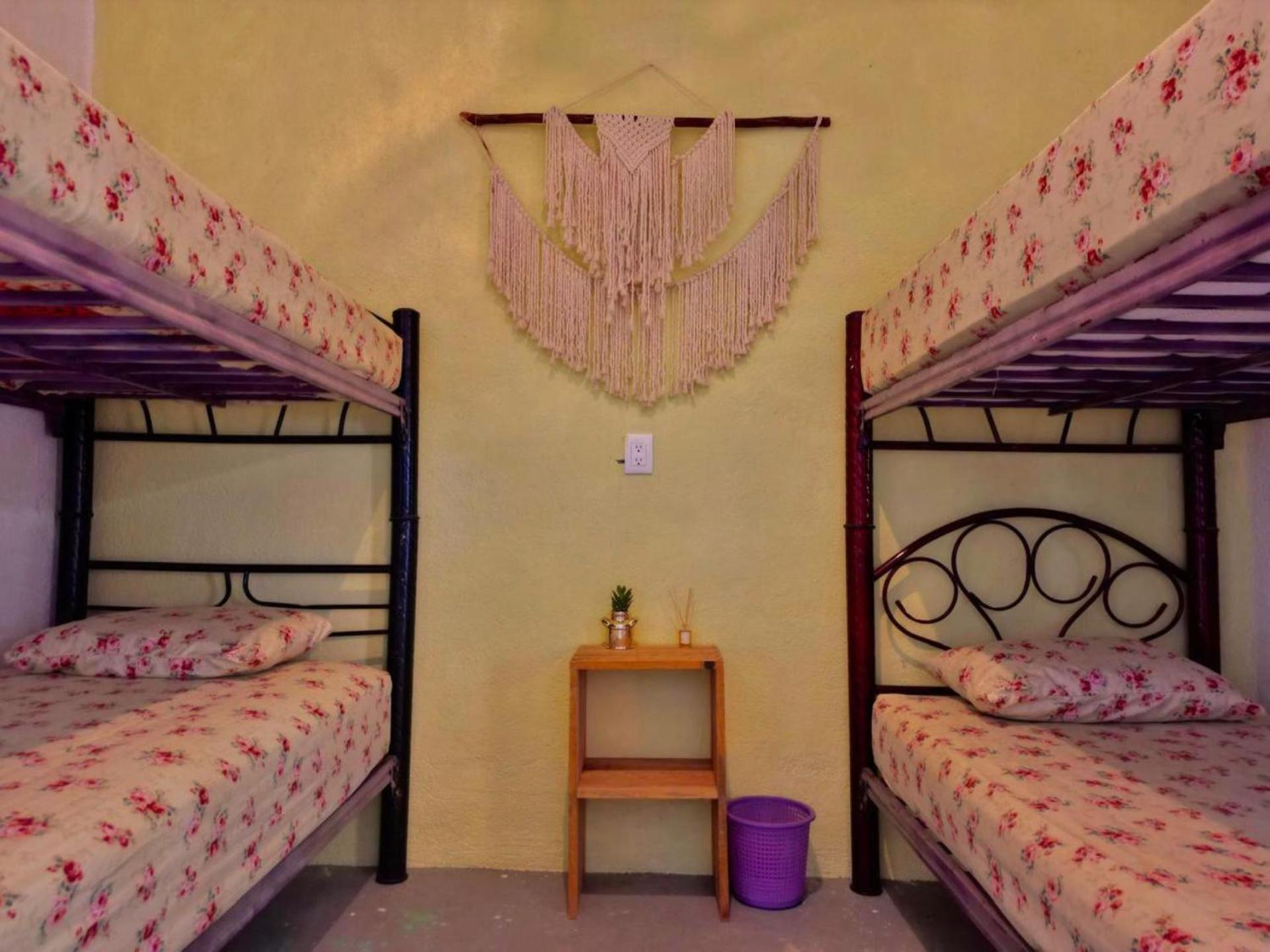Casa Firefly