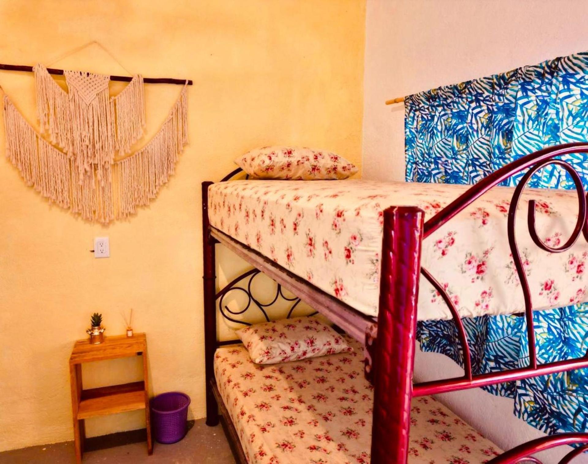 Casa Firefly