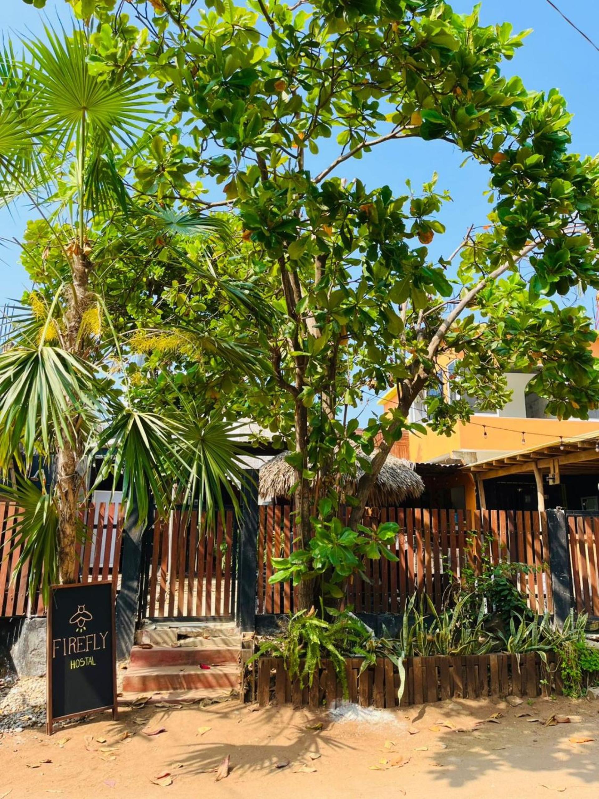 Casa Firefly