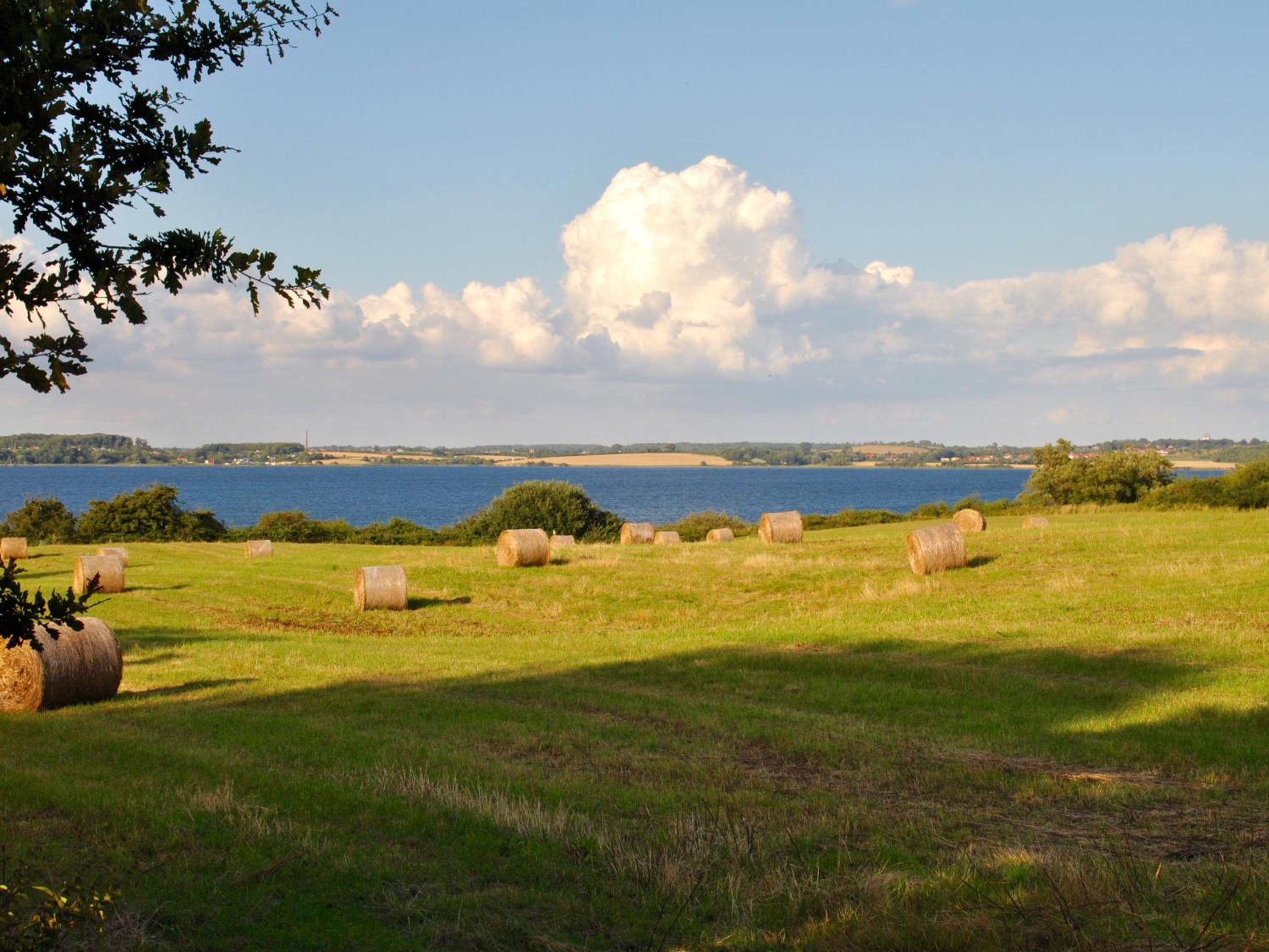 Mare view 2