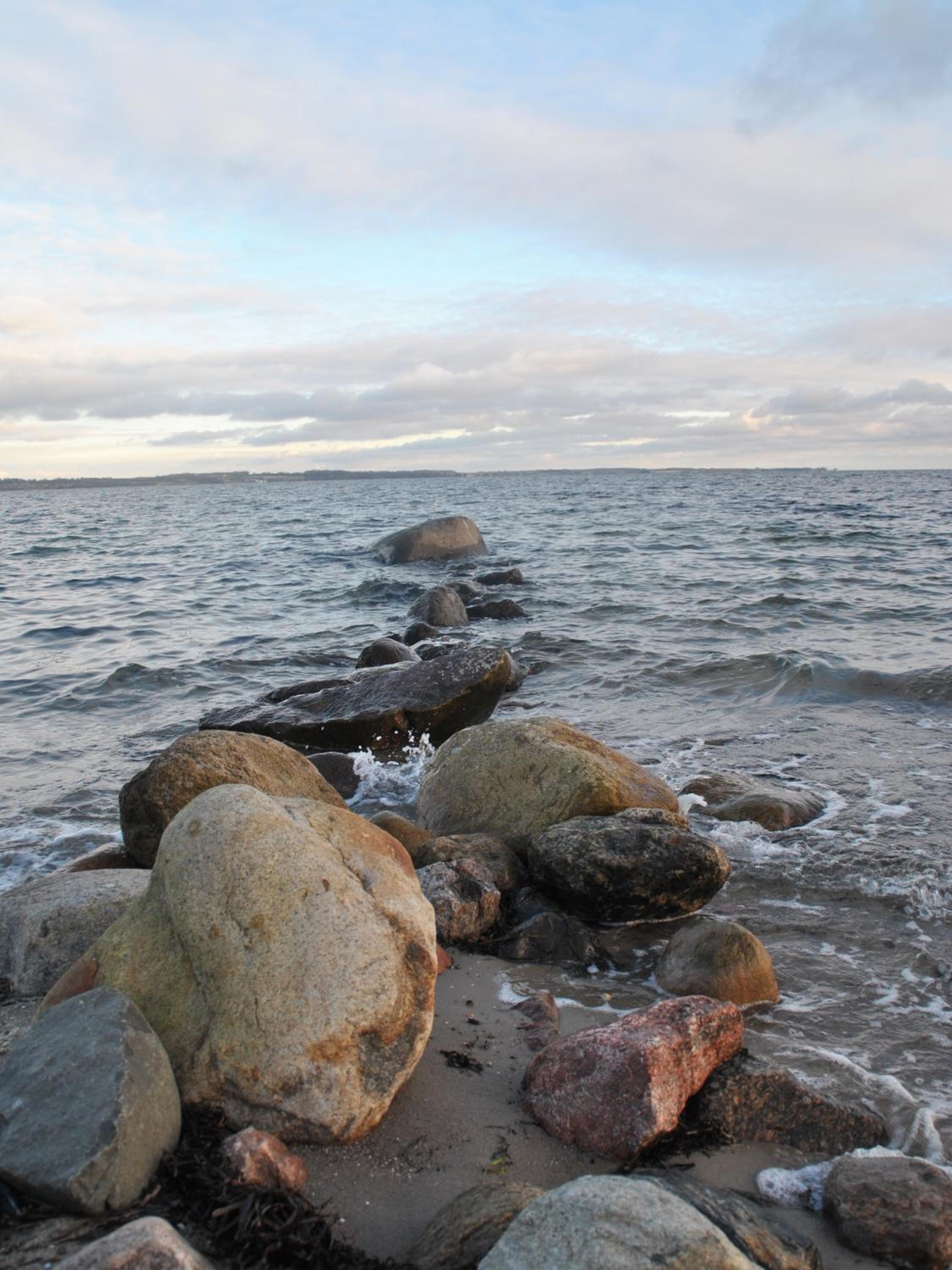 Mare view 3