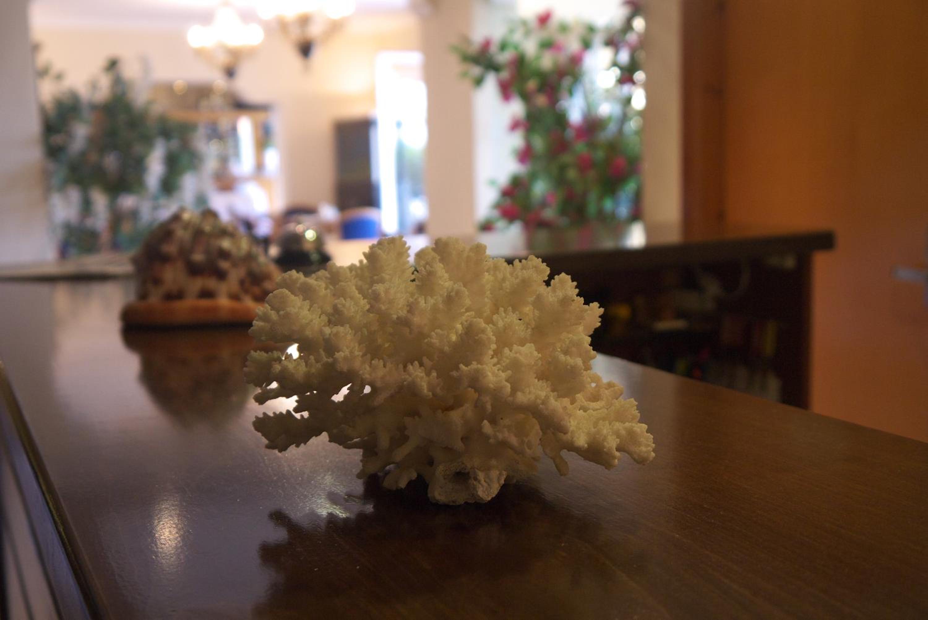 hotel reception