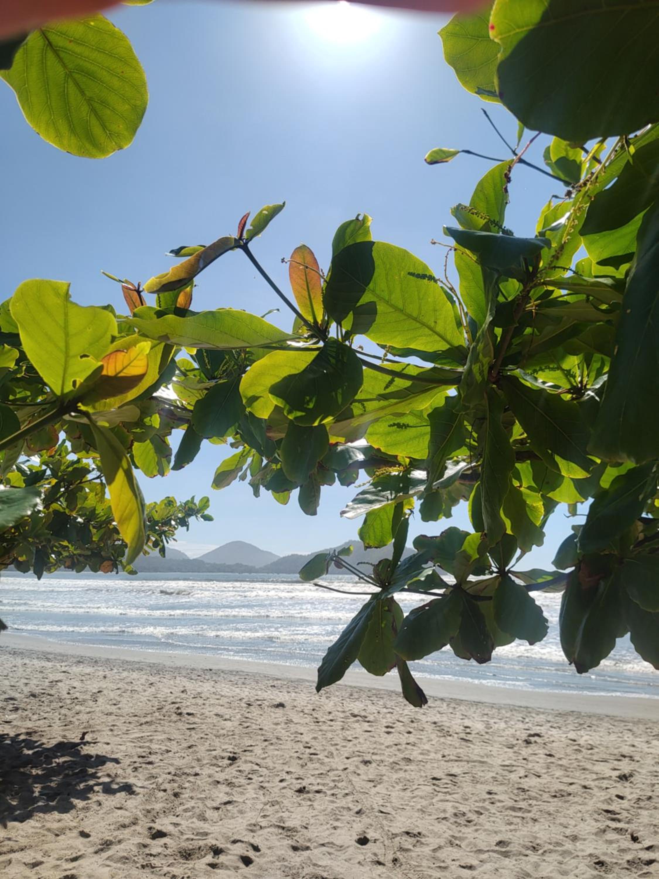Alê e o Mar