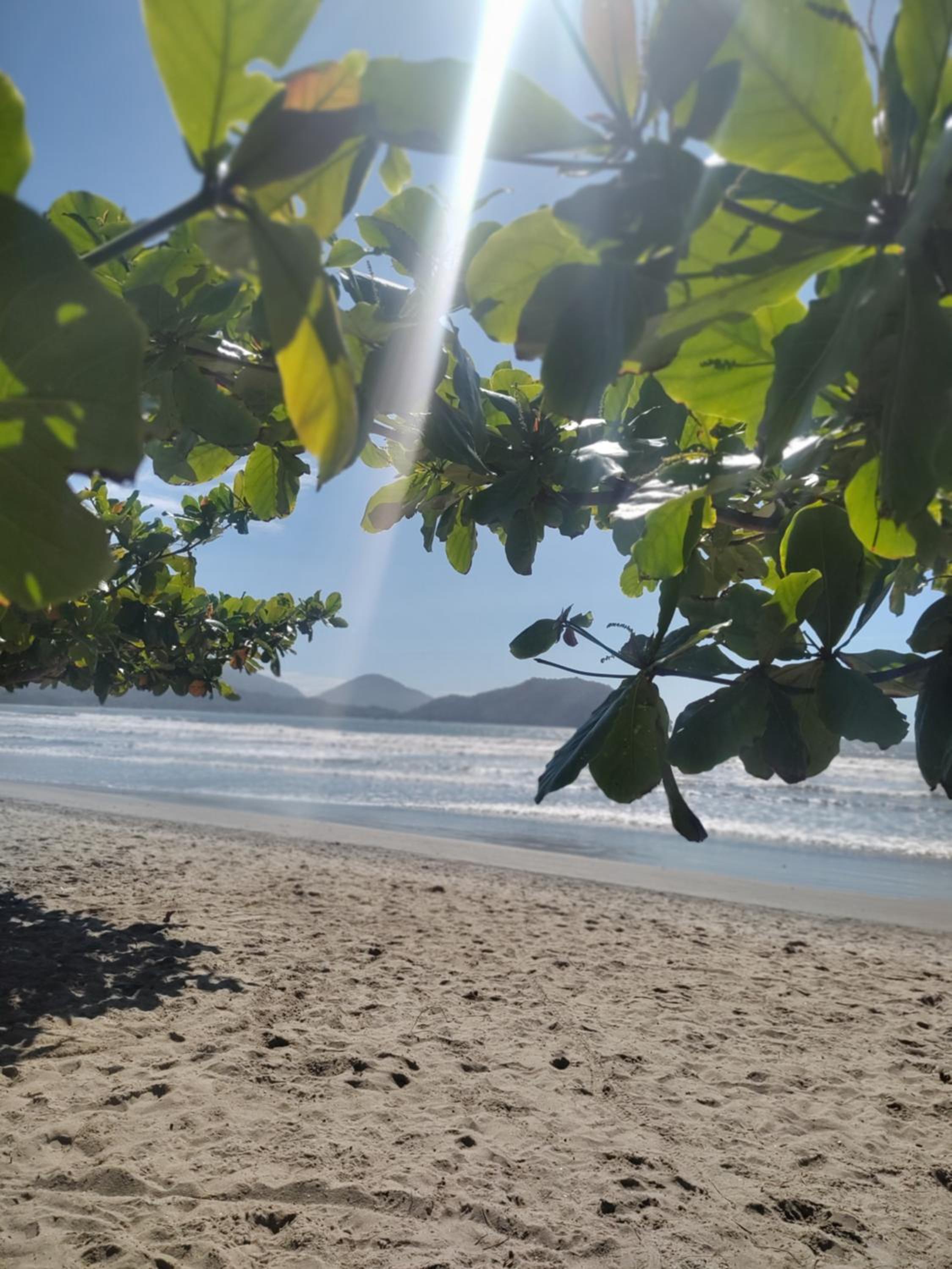 Alê e o Mar