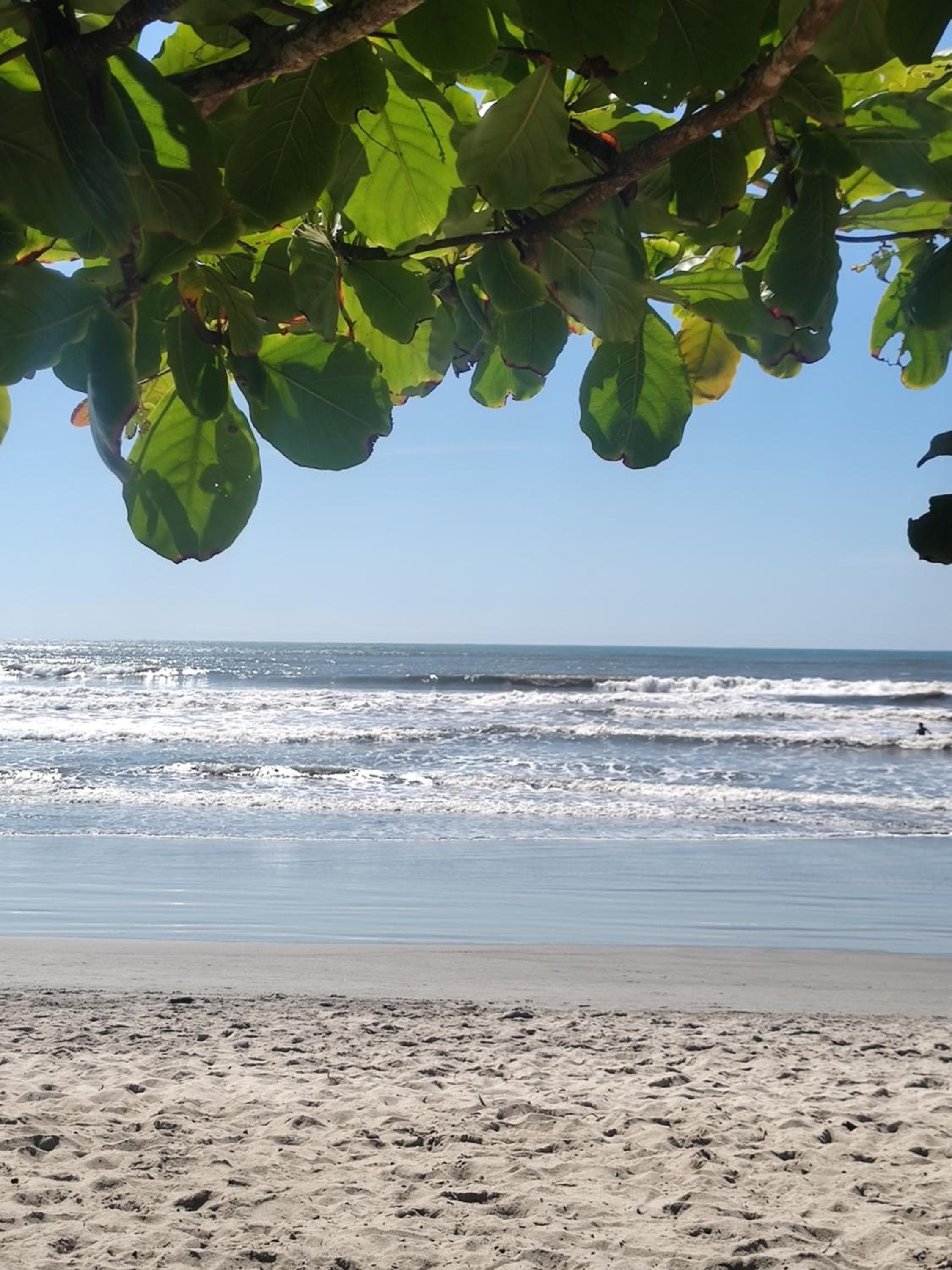 Alê e o Mar