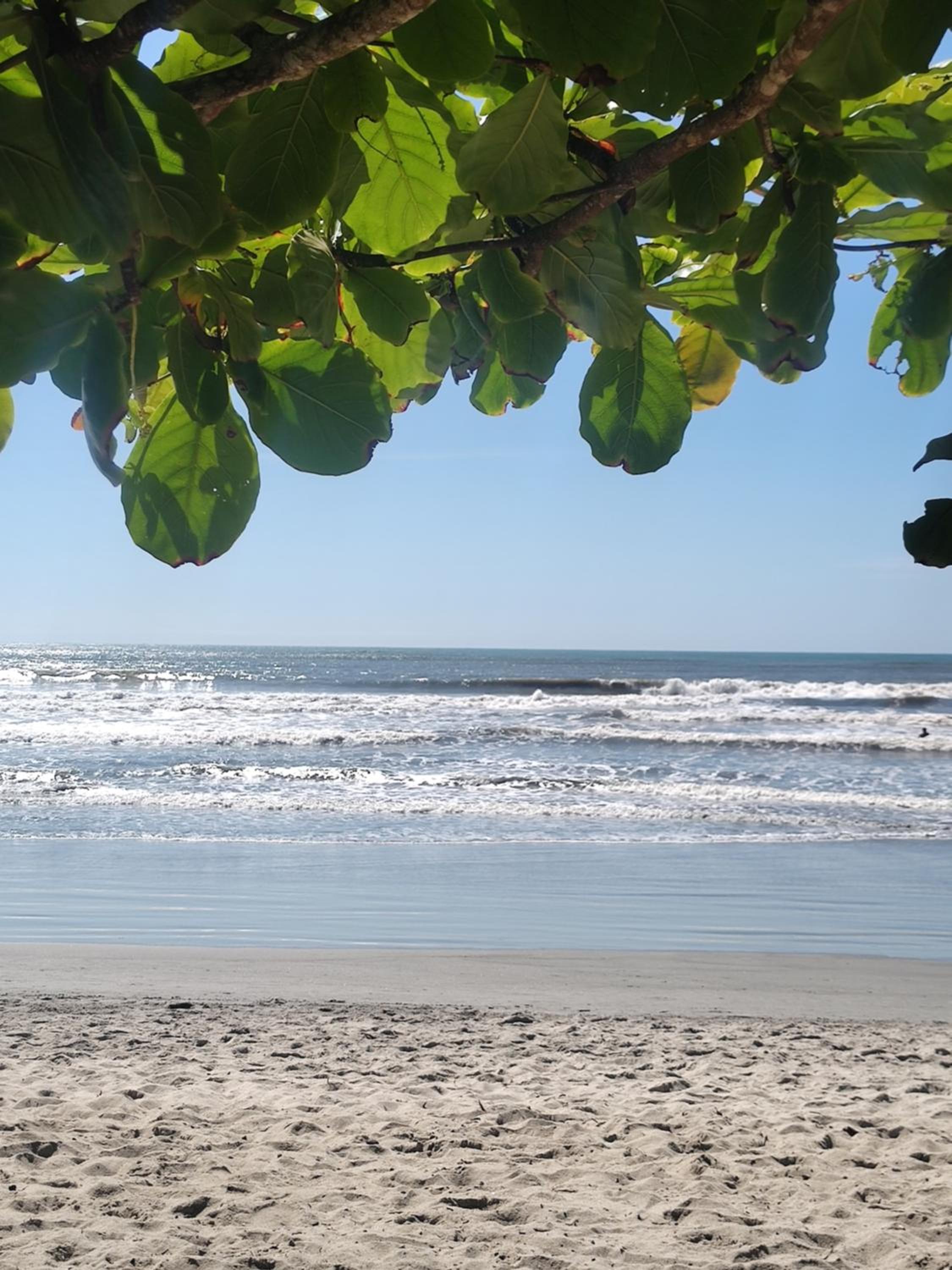 Alê e o Mar