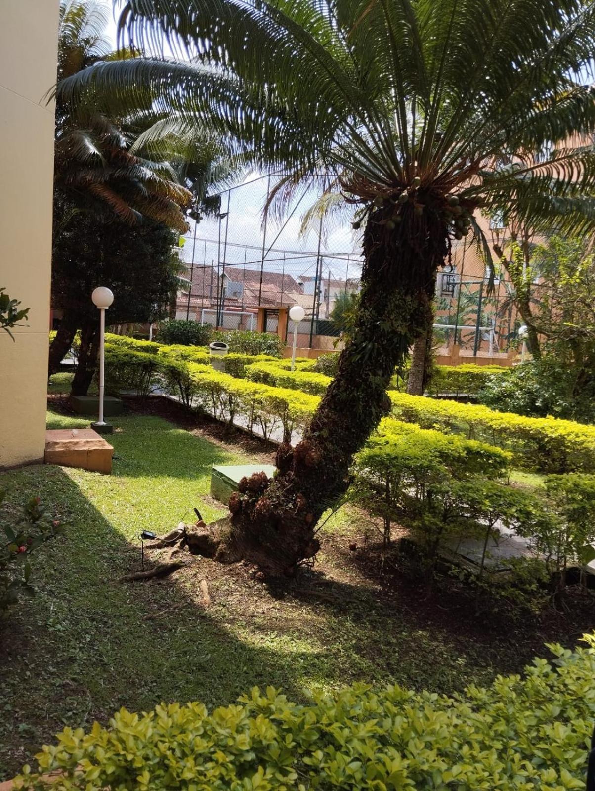 Apartamento na praia dos sonhos