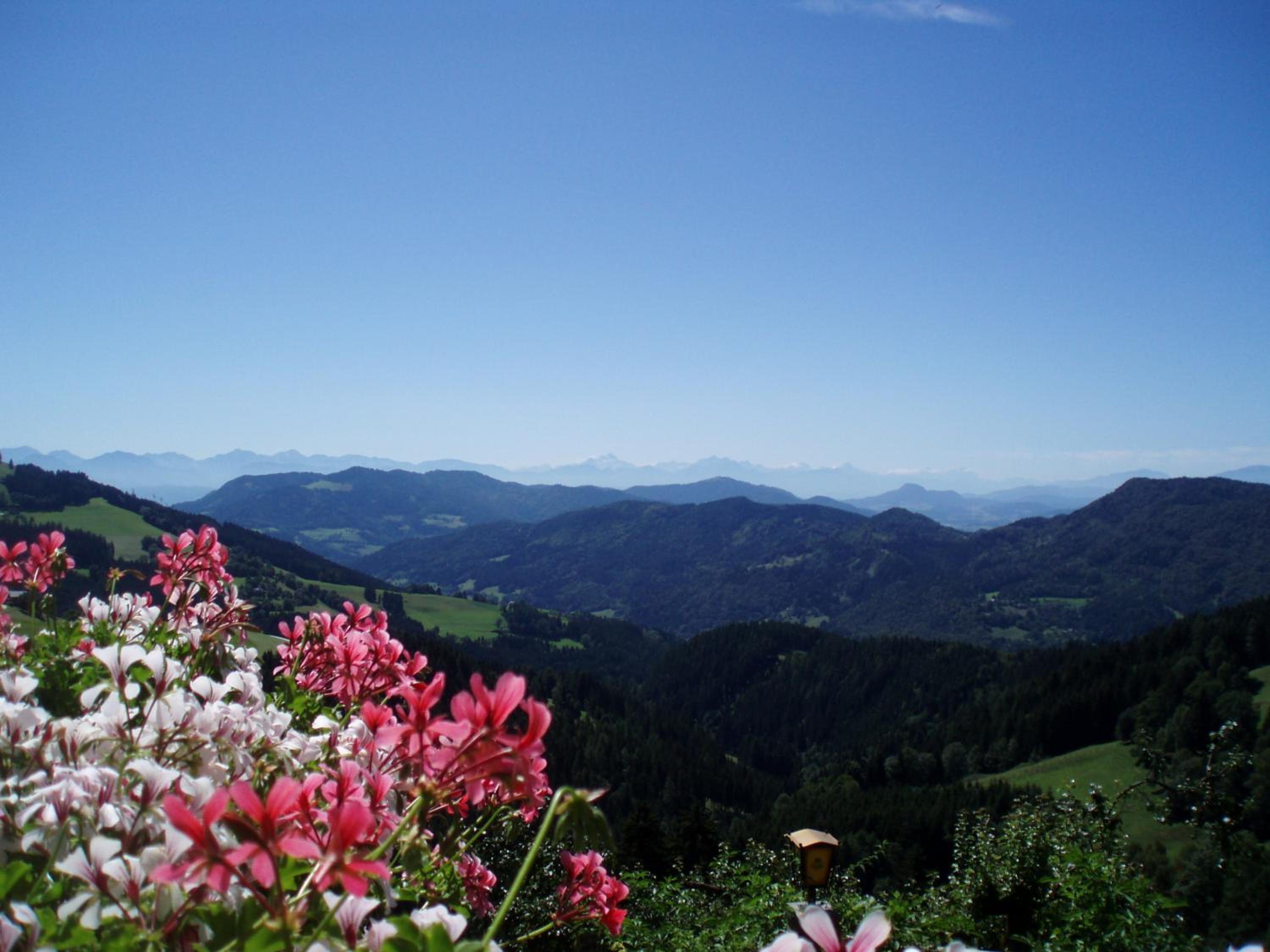 Gasthof Gutmann