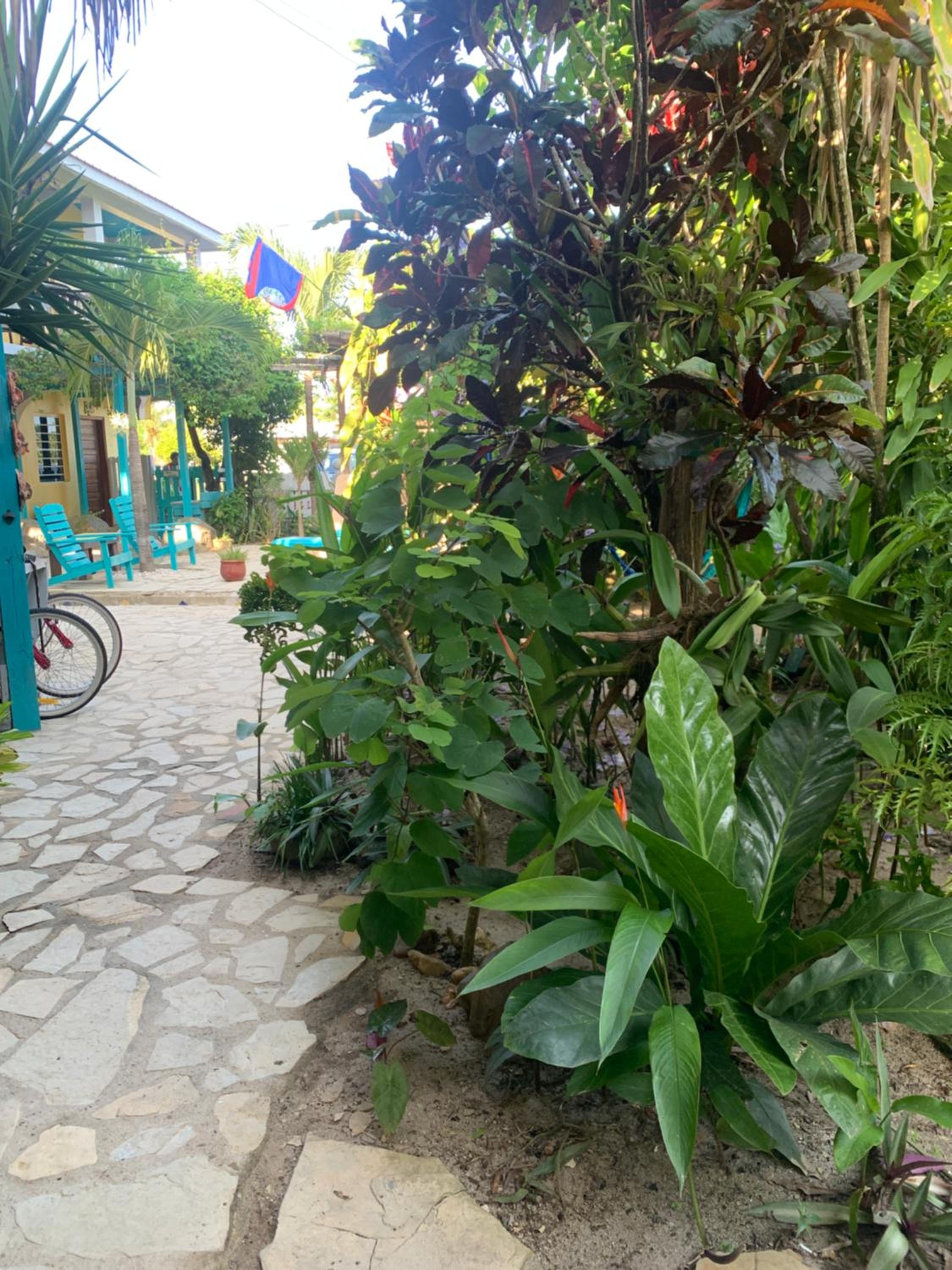 All Seasons Belize
