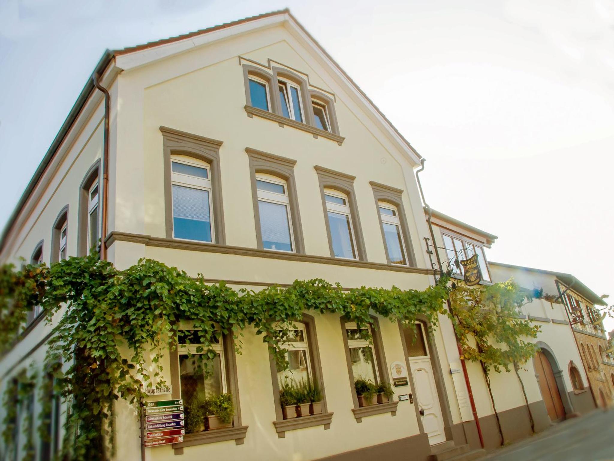 Hofgarten Rosa