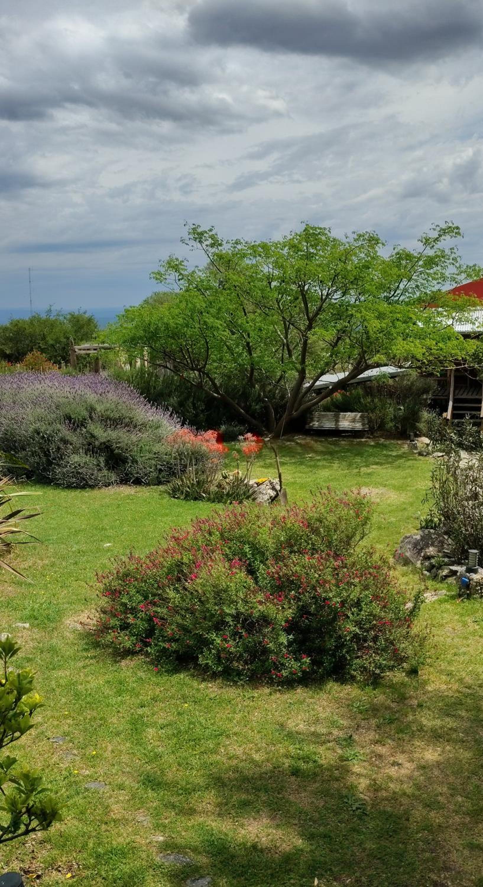 VILLA ESPINA CHALET DE MONTAÑA a 8 km de San Javier