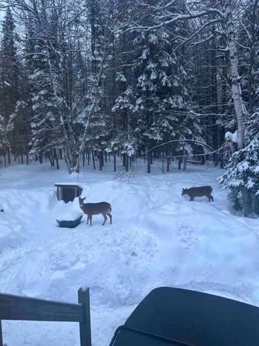 Le Gordon cottage - Escapade en nature avec spa!
