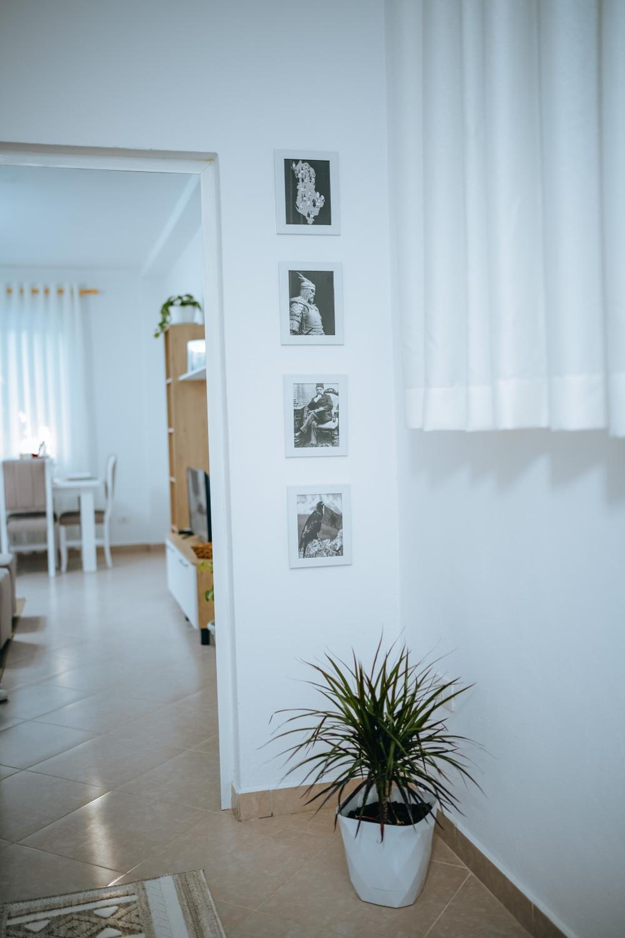 Tirana bloom villa&Apartments