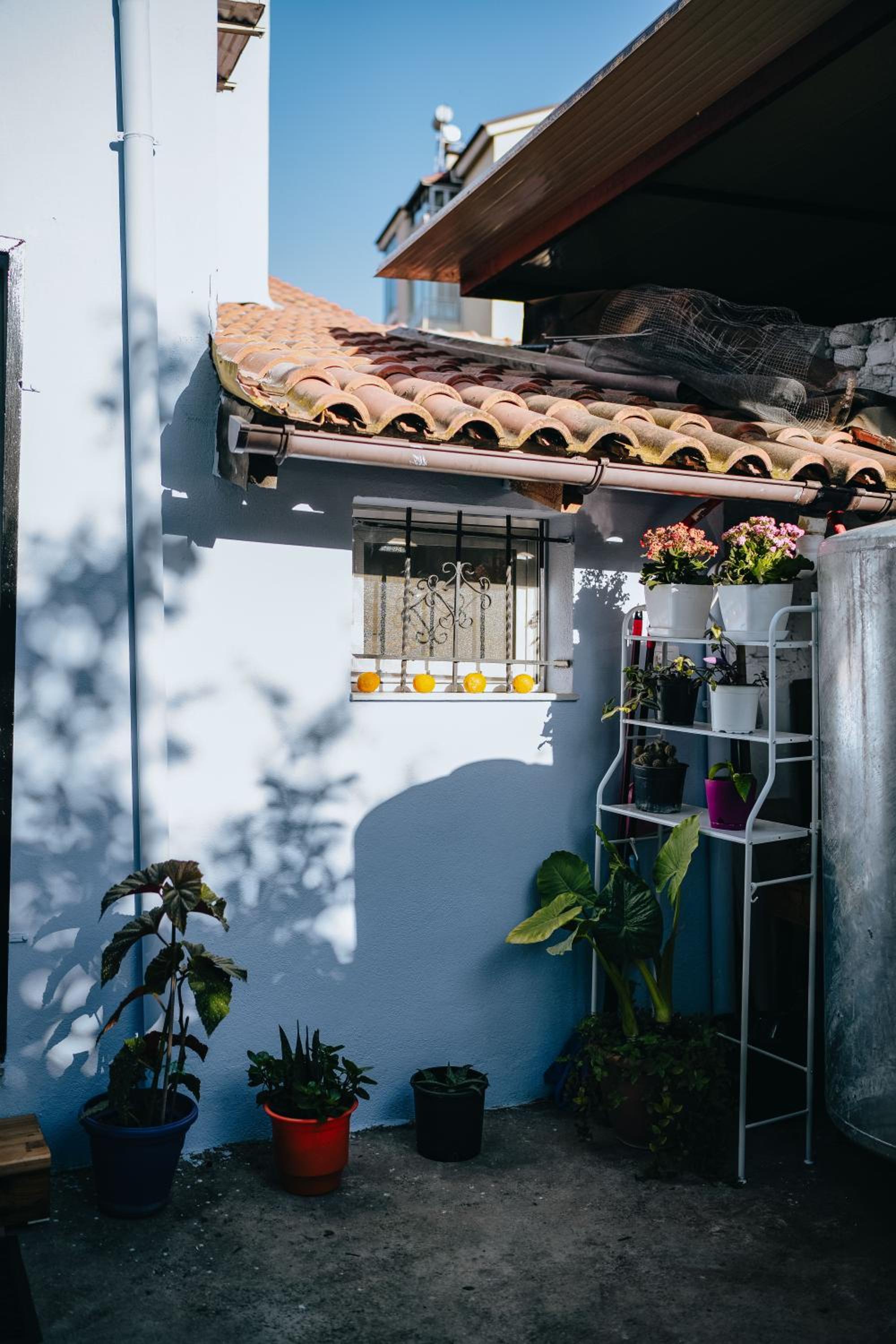 Tirana bloom villa&Apartments
