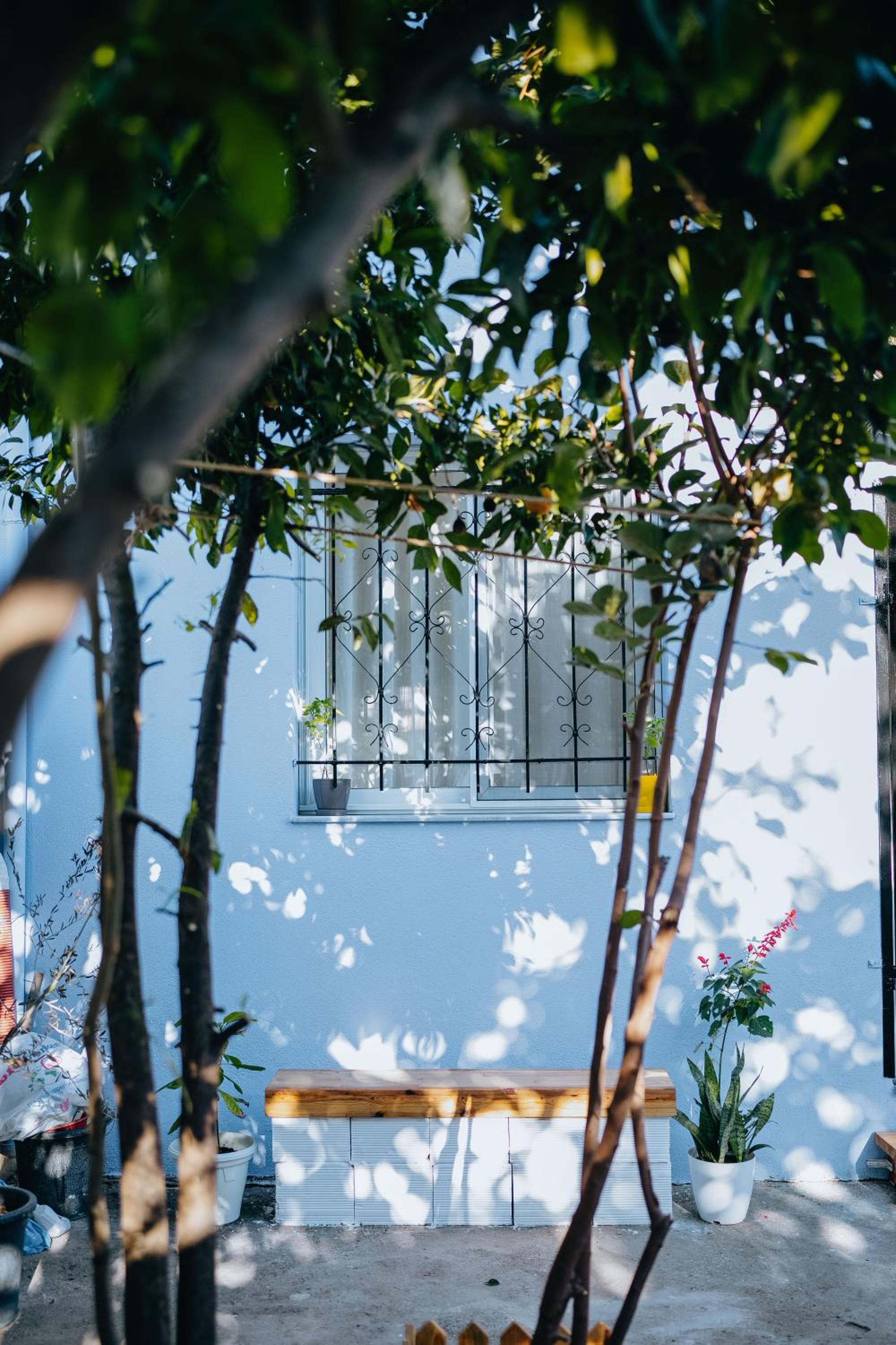 Tirana bloom villa&Apartments