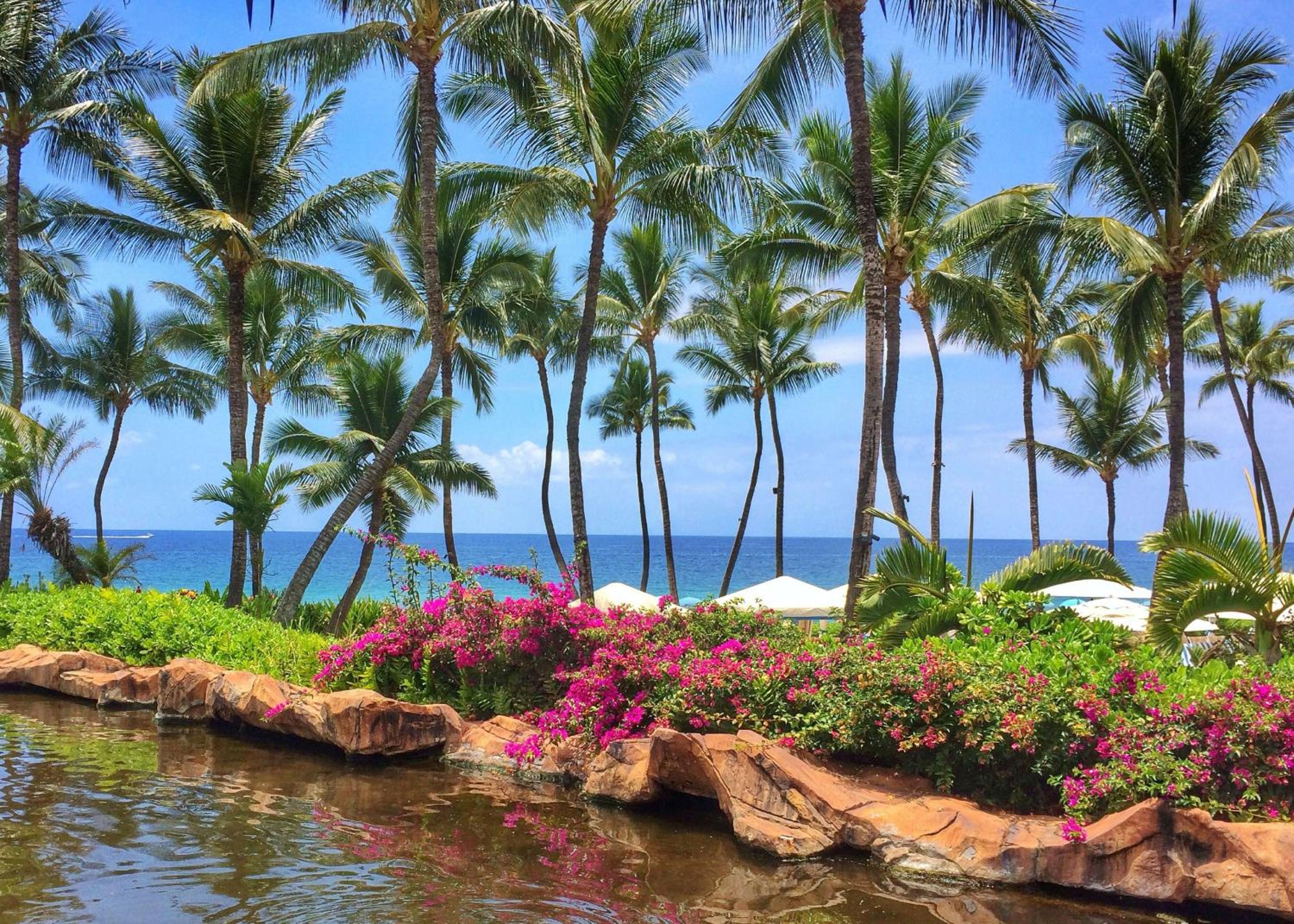 Grand Wailea Resort Hotel & Spa, A Waldorf Astoria Resort-4