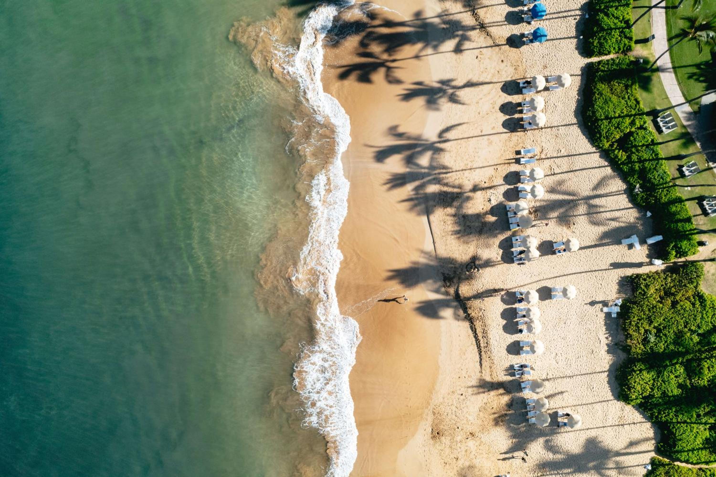 Grand Wailea Resort Hotel & Spa, A Waldorf Astoria Resort 18