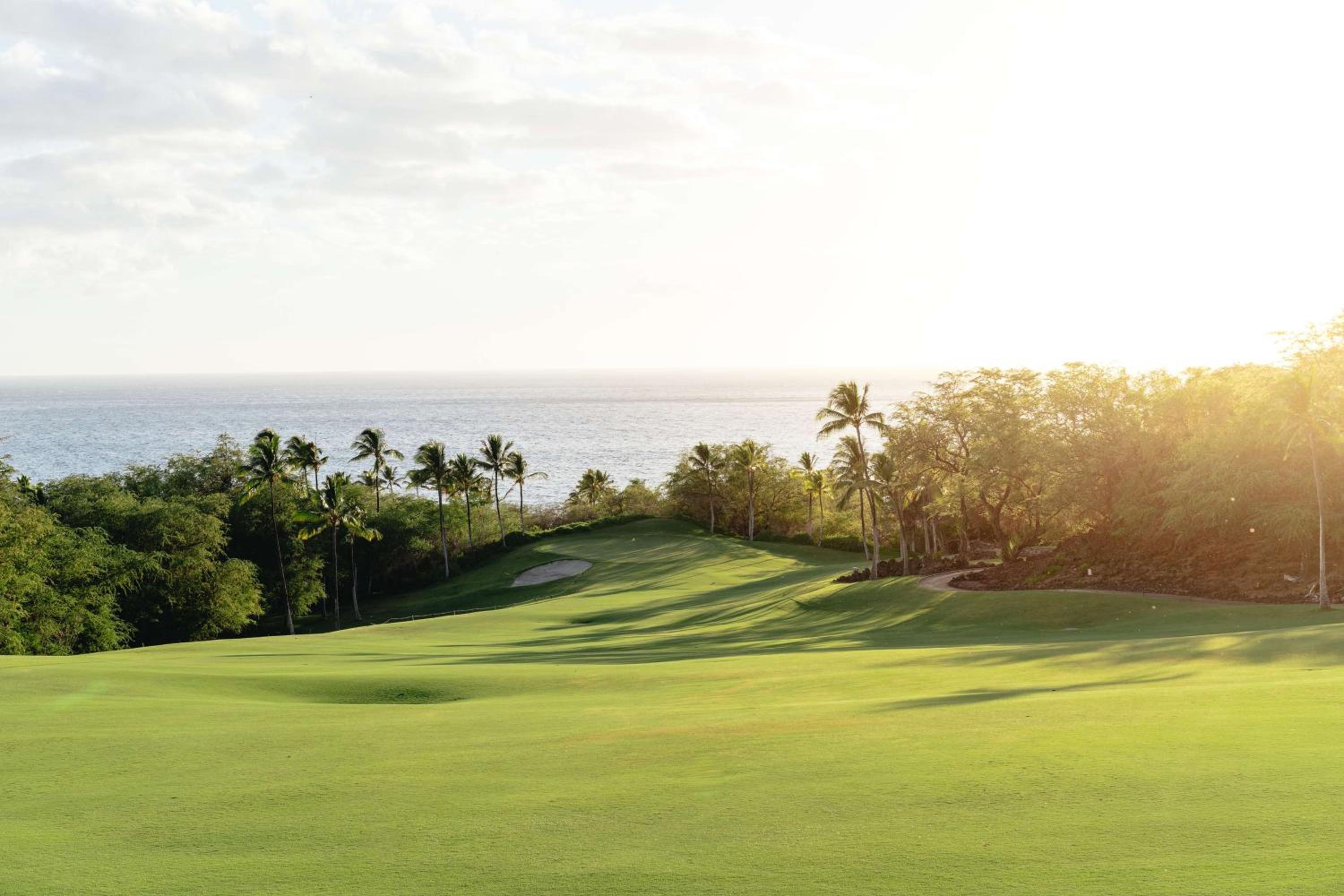 Grand Wailea Resort Hotel & Spa, A Waldorf Astoria Resort 159