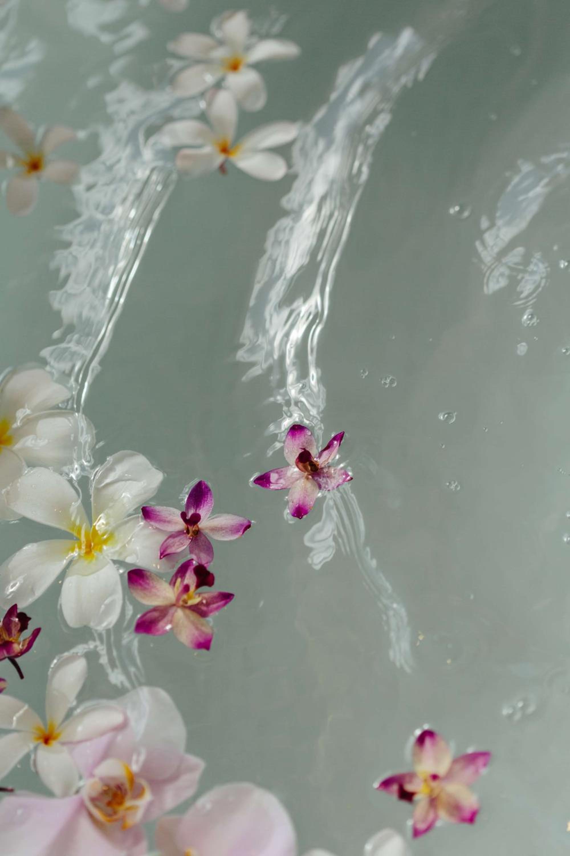 Grand Wailea Resort Hotel & Spa, A Waldorf Astoria Resort 202