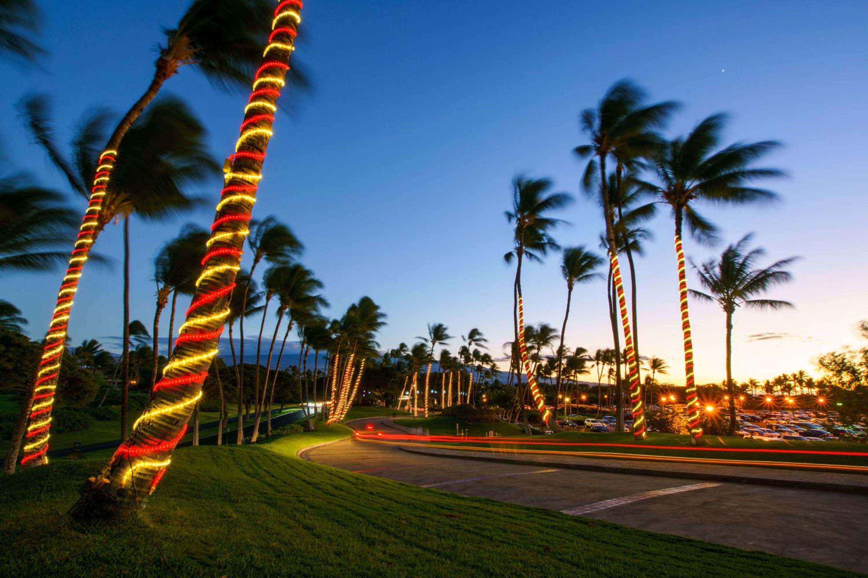 Hilton Waikoloa Village 15