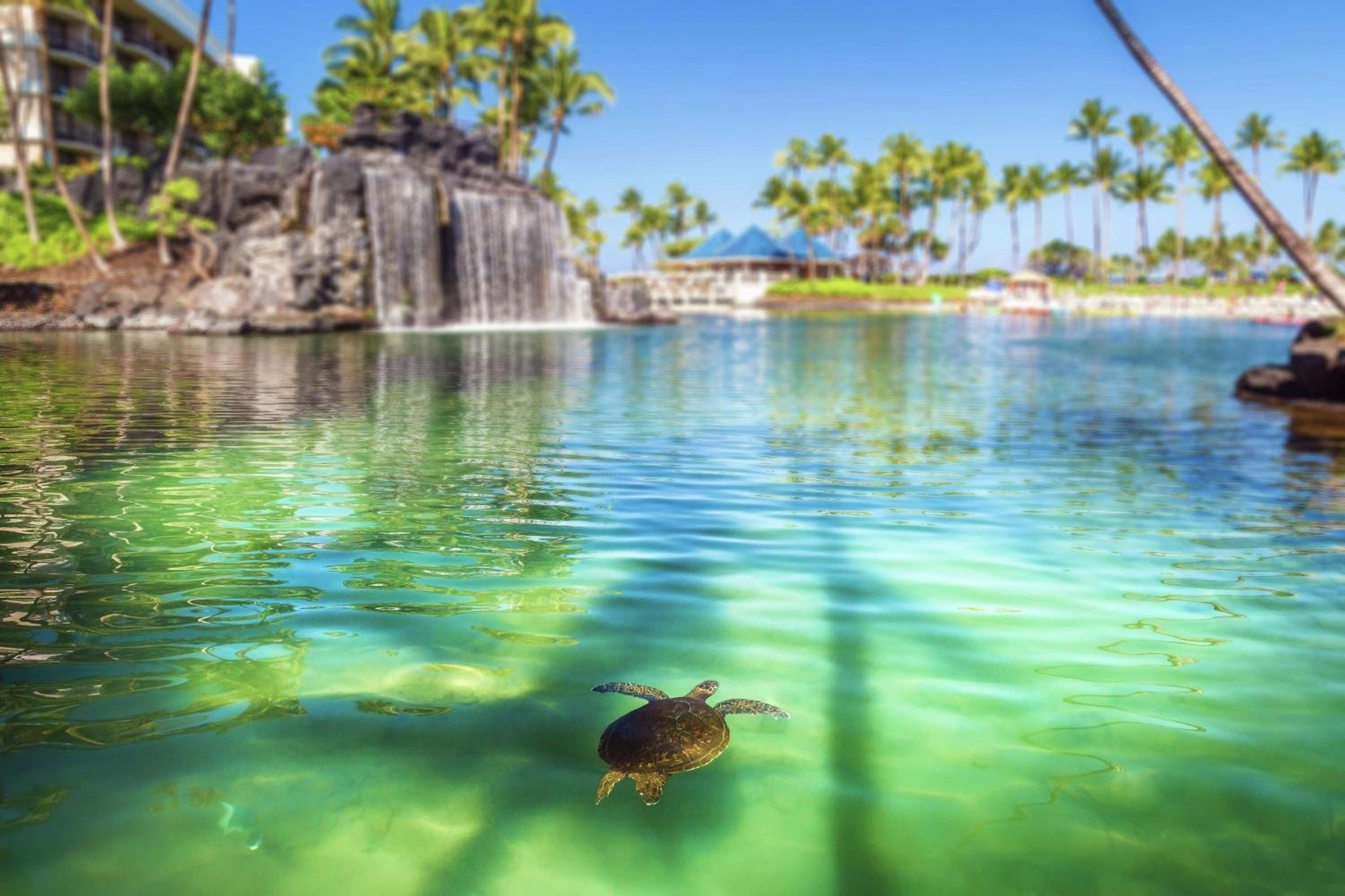 Hilton Waikoloa Village 33
