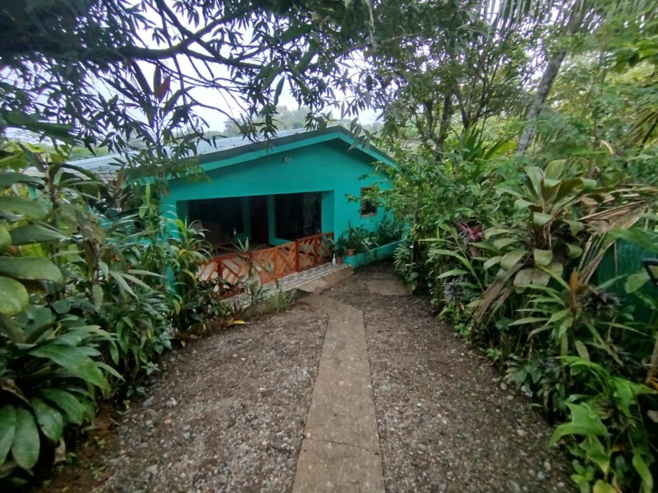 Casita Cecropia