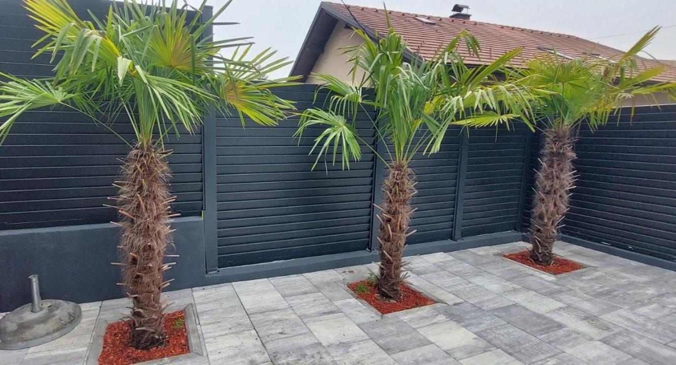 Villa Berta Tuzla - 302 Luxury Apartment - Free Private Secured Parking