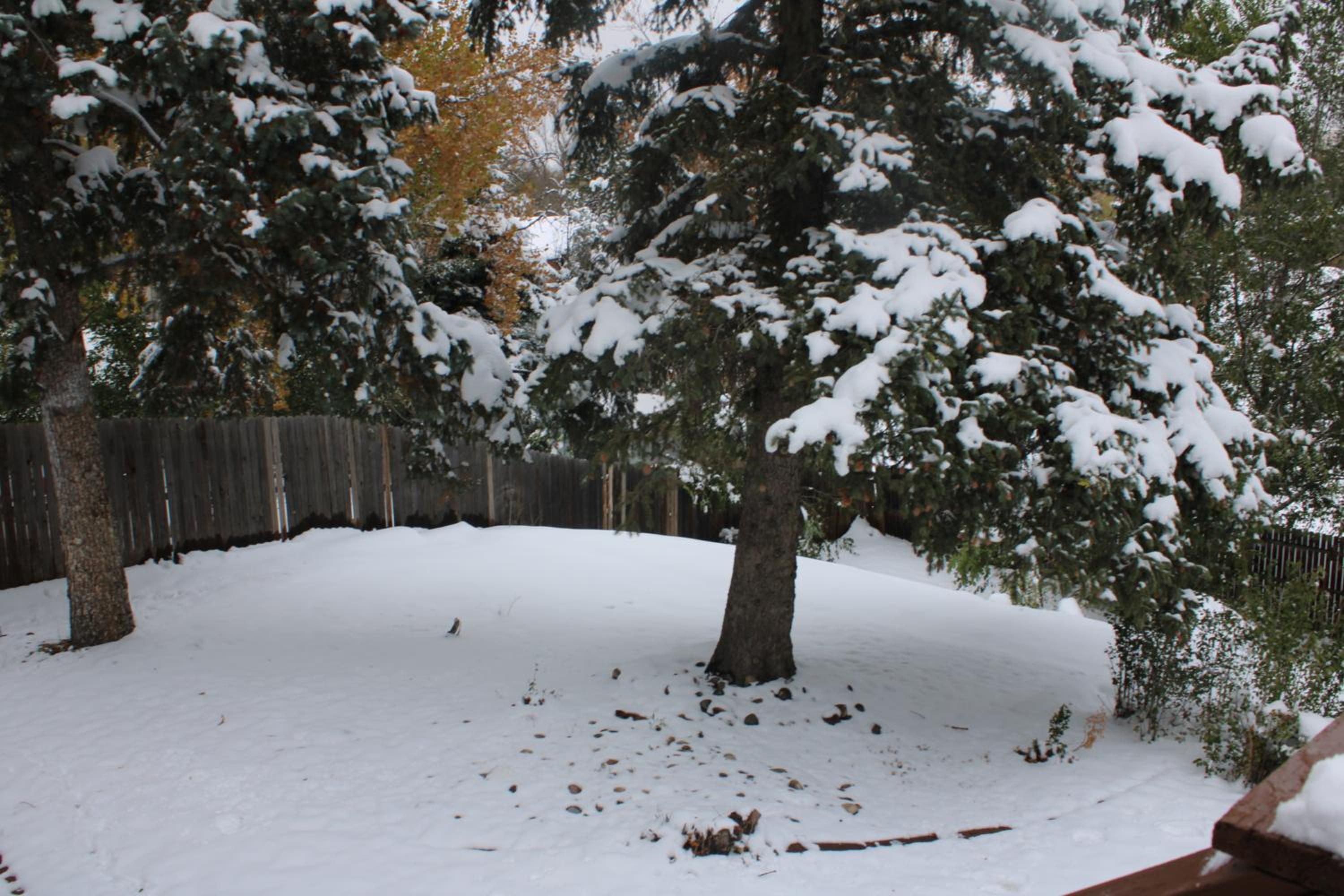 Colorado Four Season Funhouse