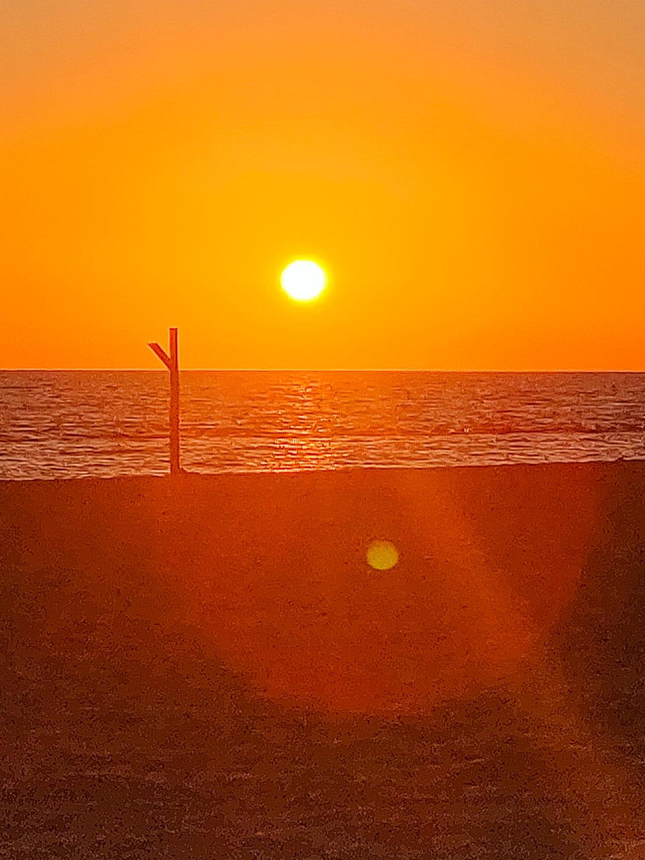 EndlessSummer