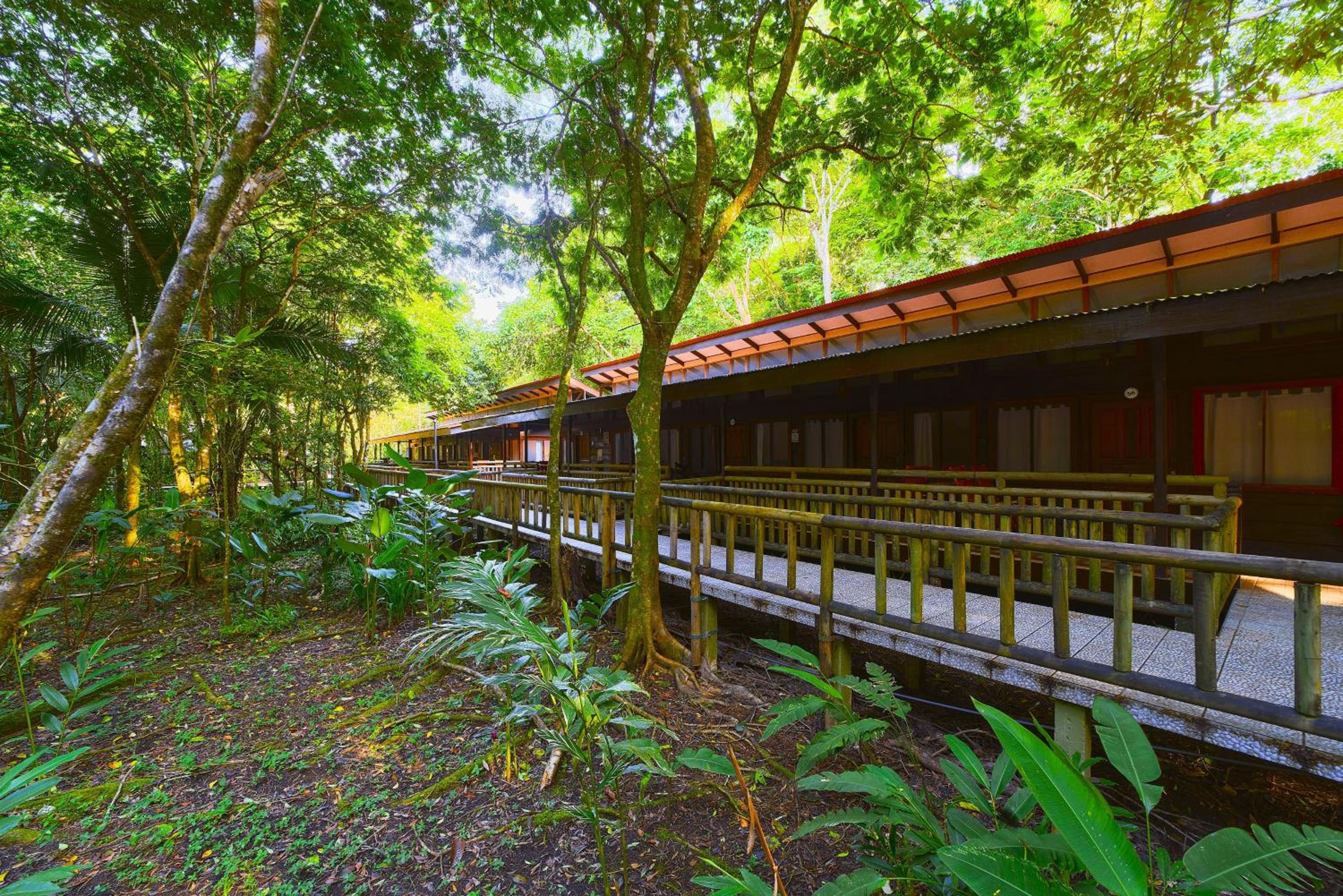 Evergreen Lodge