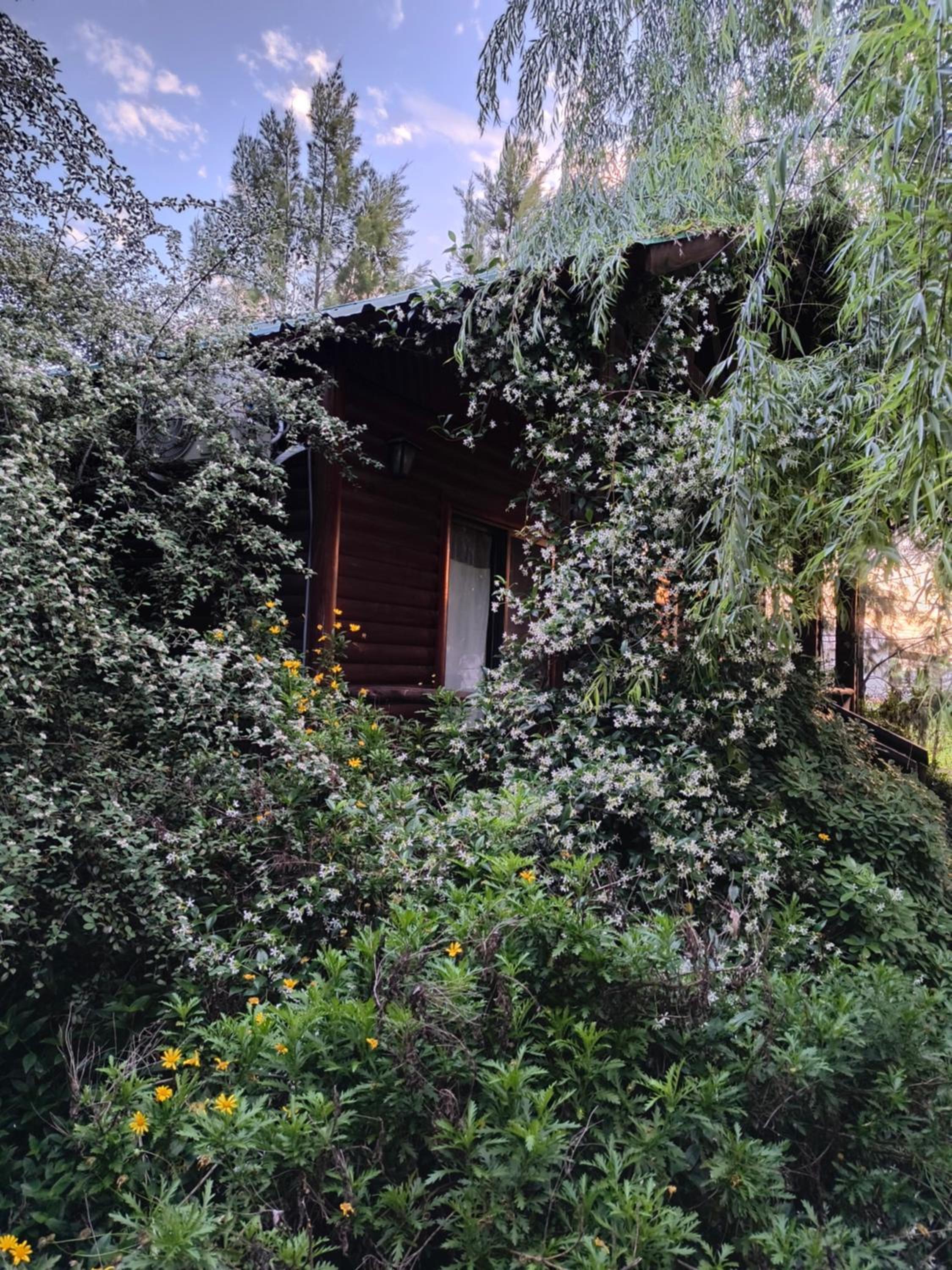 Cabañas Iremía