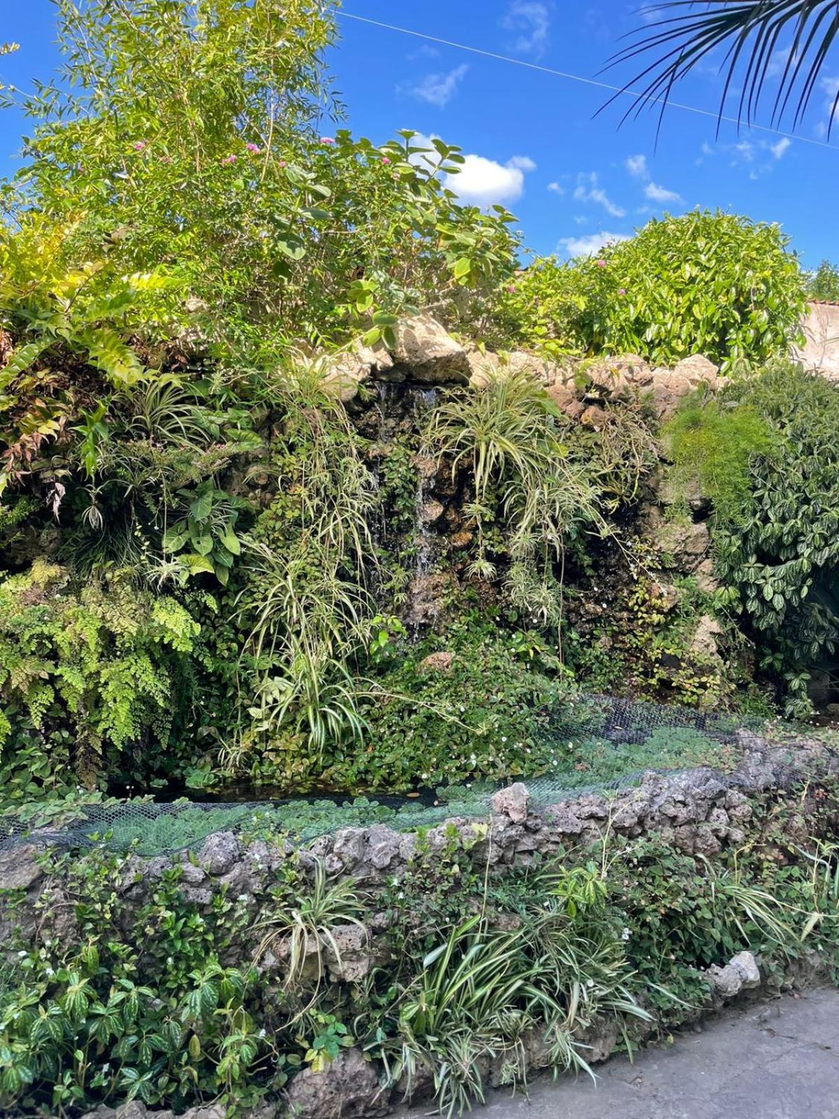 La Cascada Colón