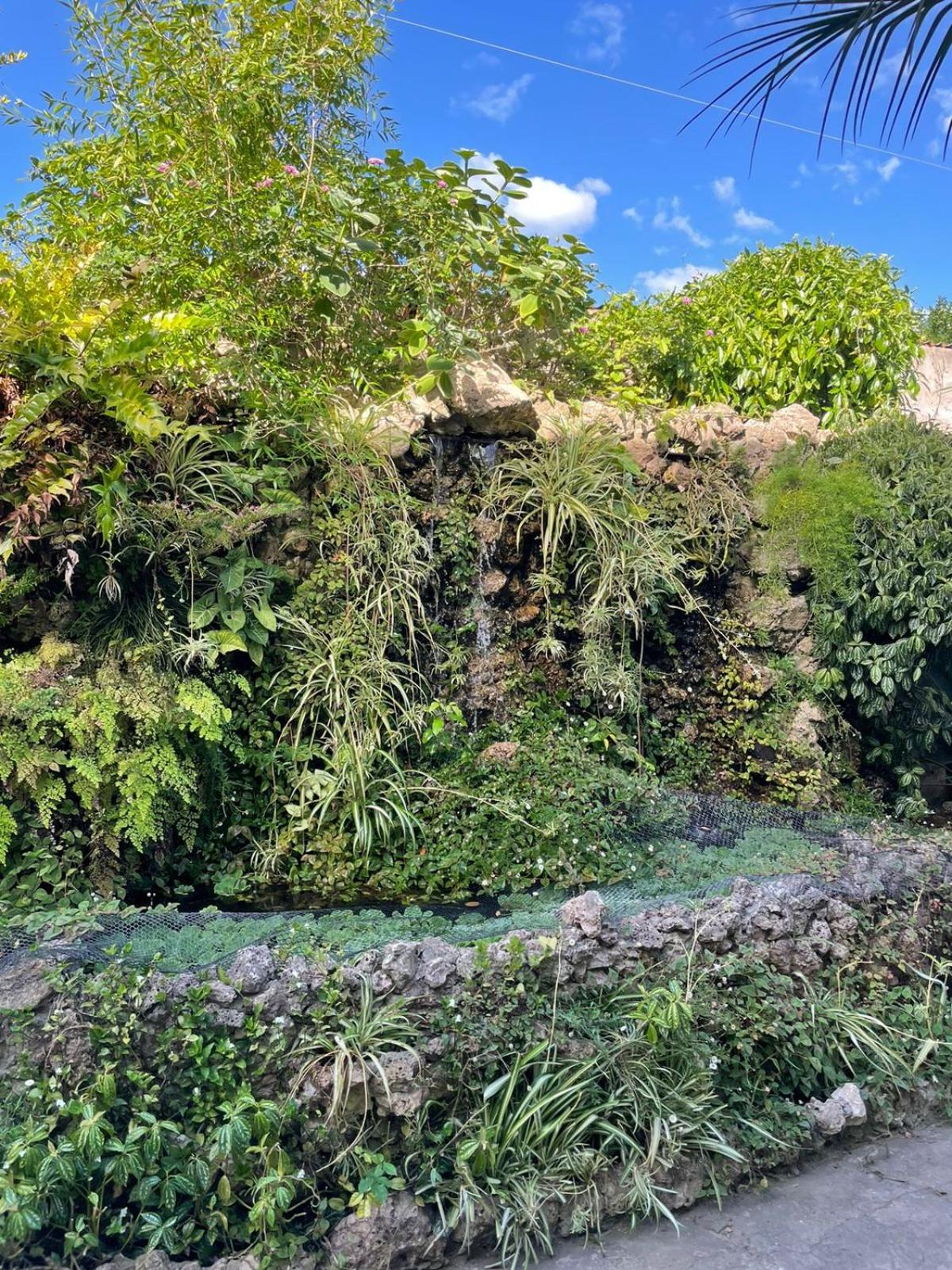 La Cascada Colón